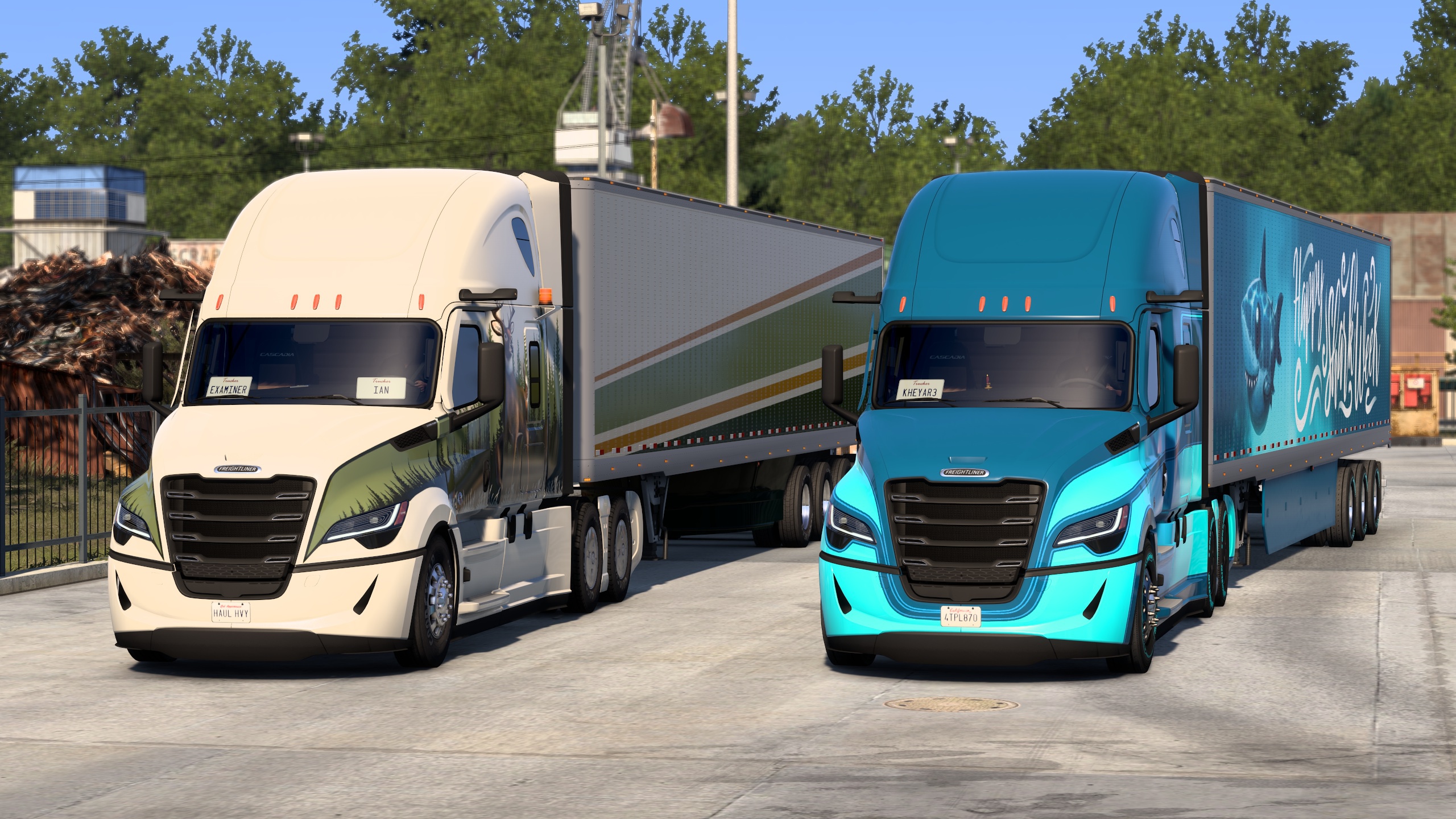 Image by ExaminerIan