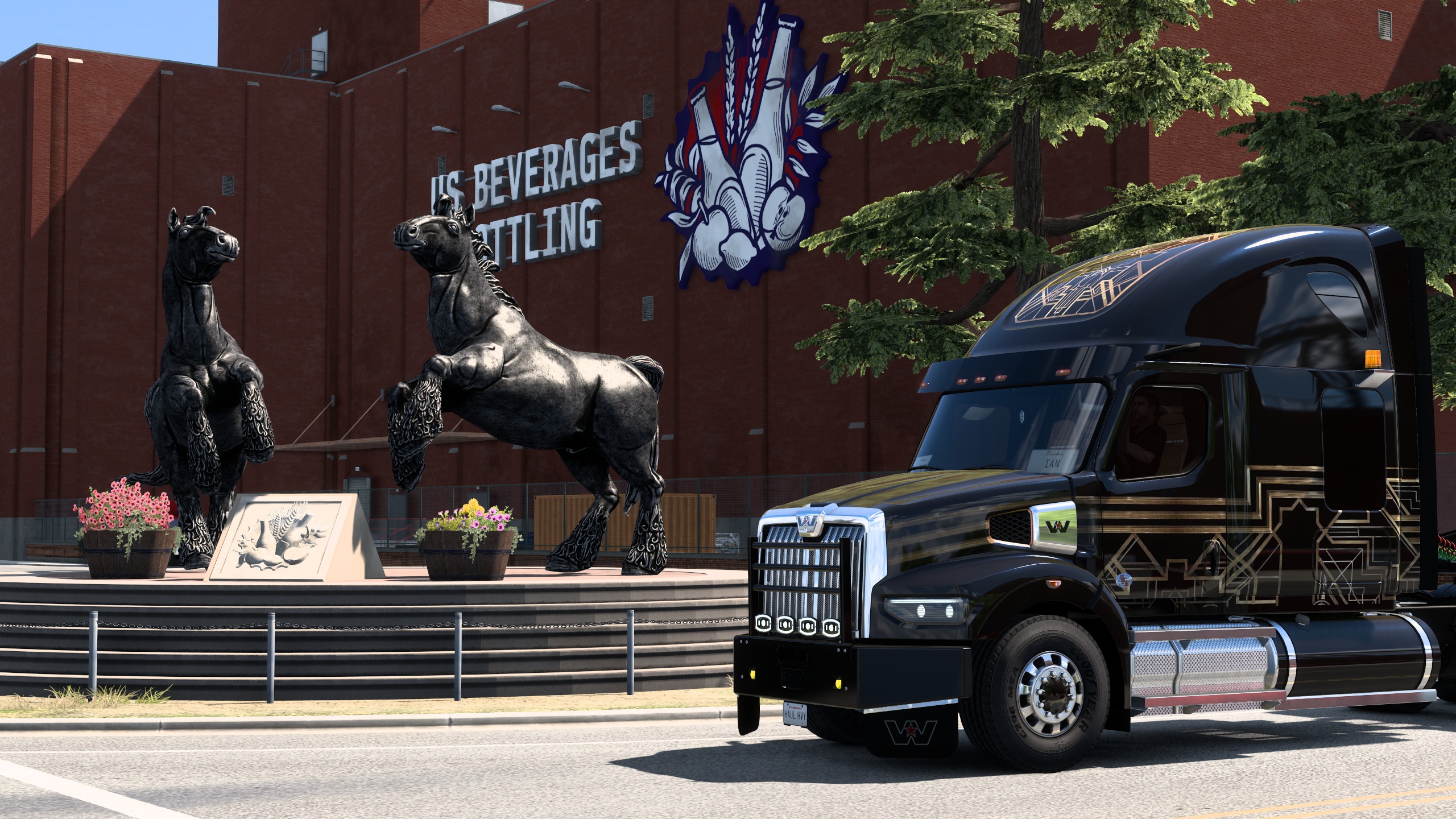 Image by ExaminerIan