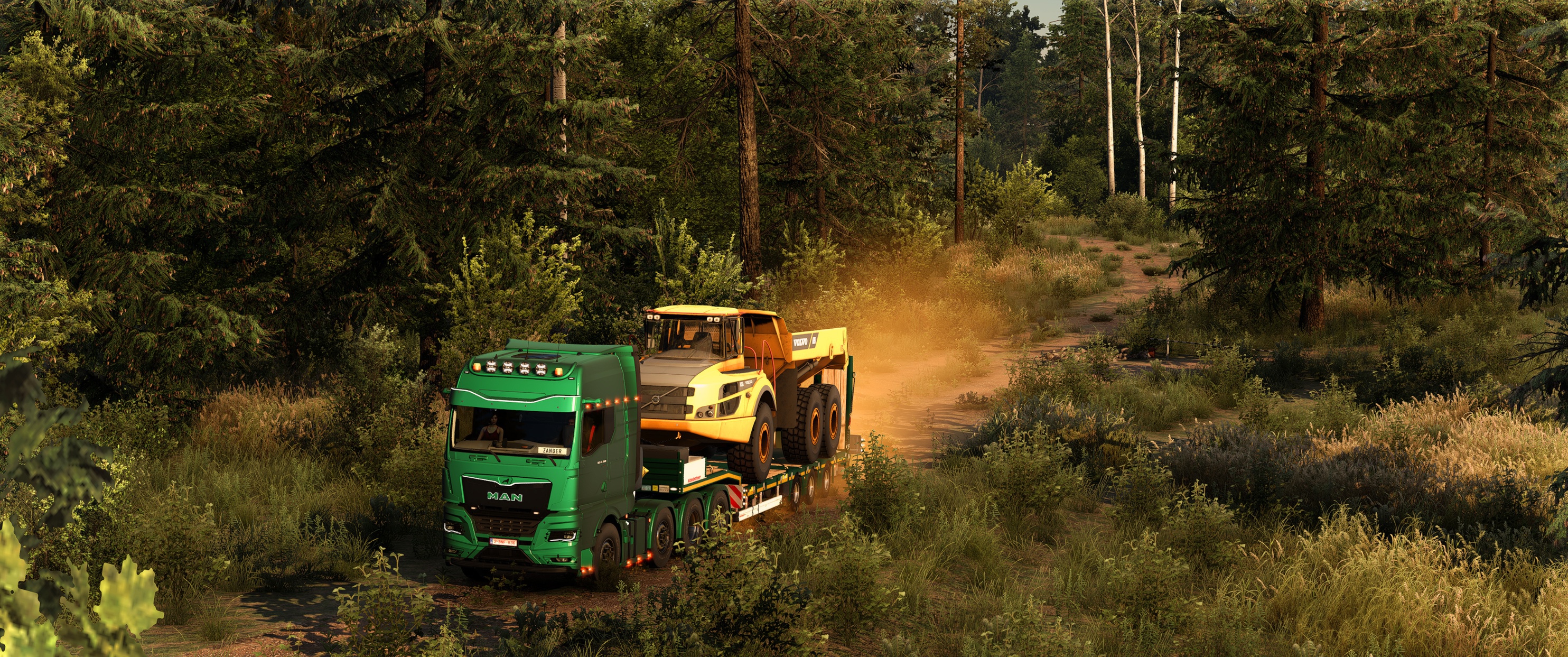 Image by zendor71
