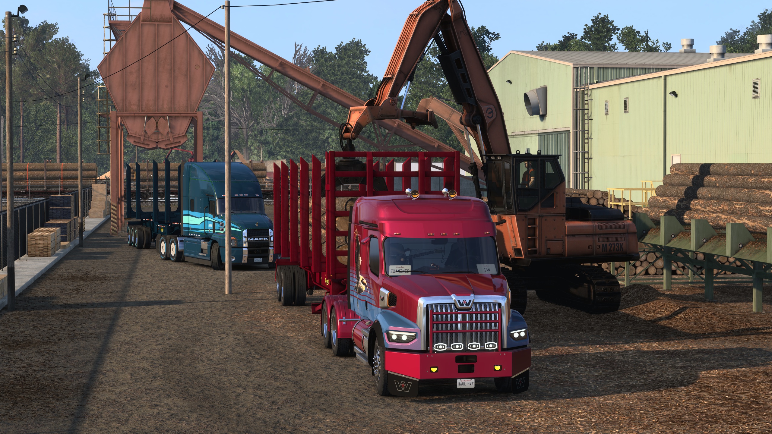 Image by ExaminerIan