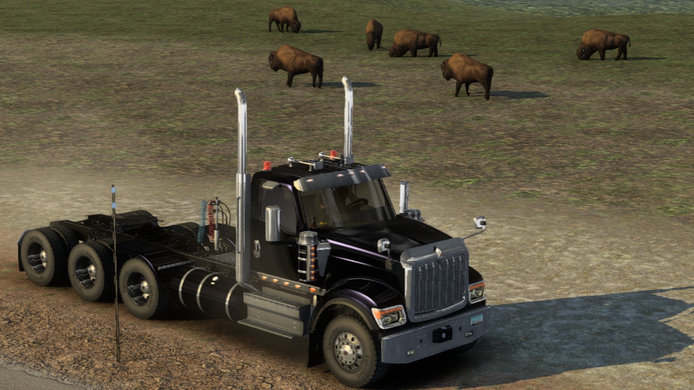 Image by andresbolso11