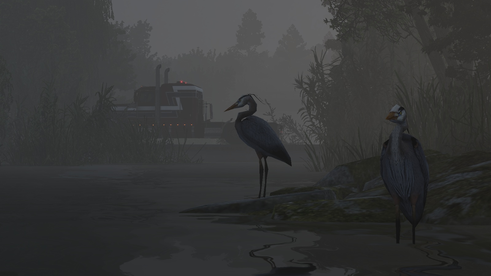 Image by Murica_1776