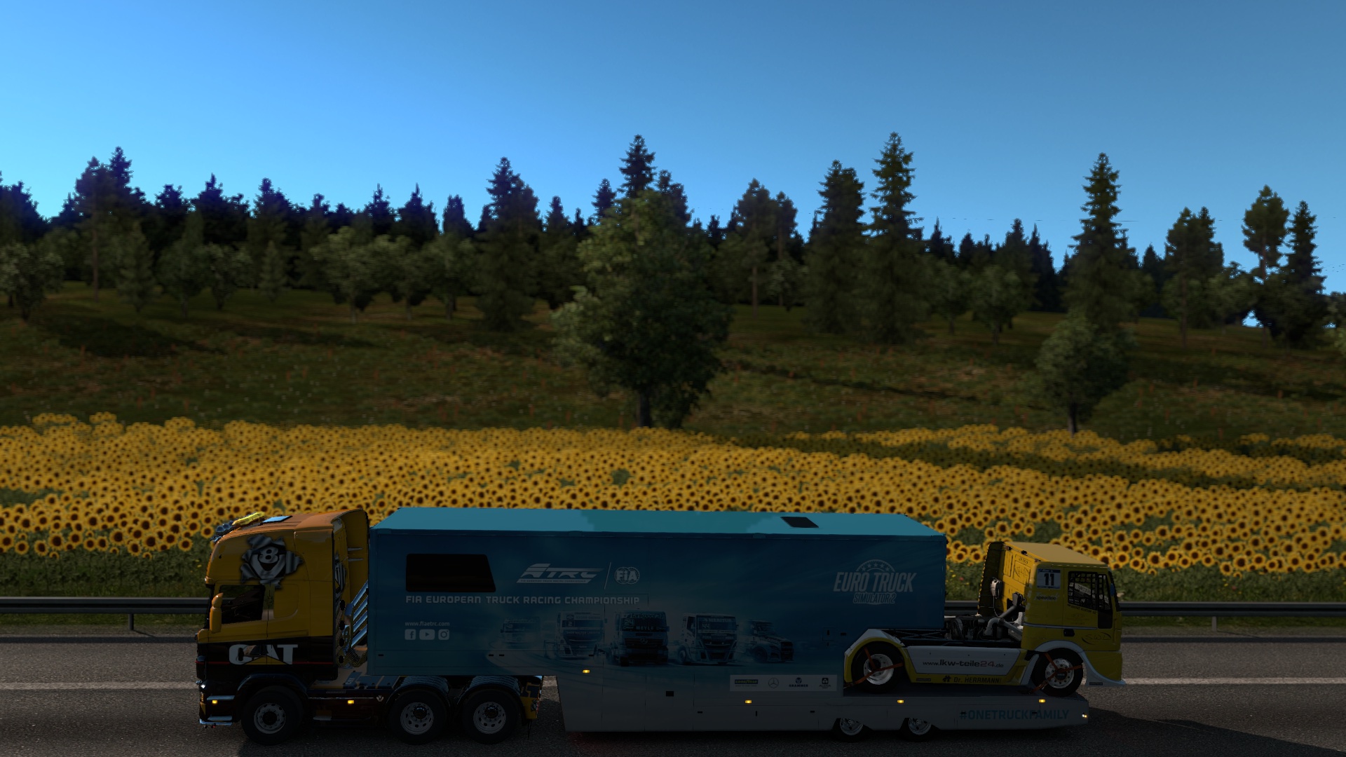 Image by pscaveman