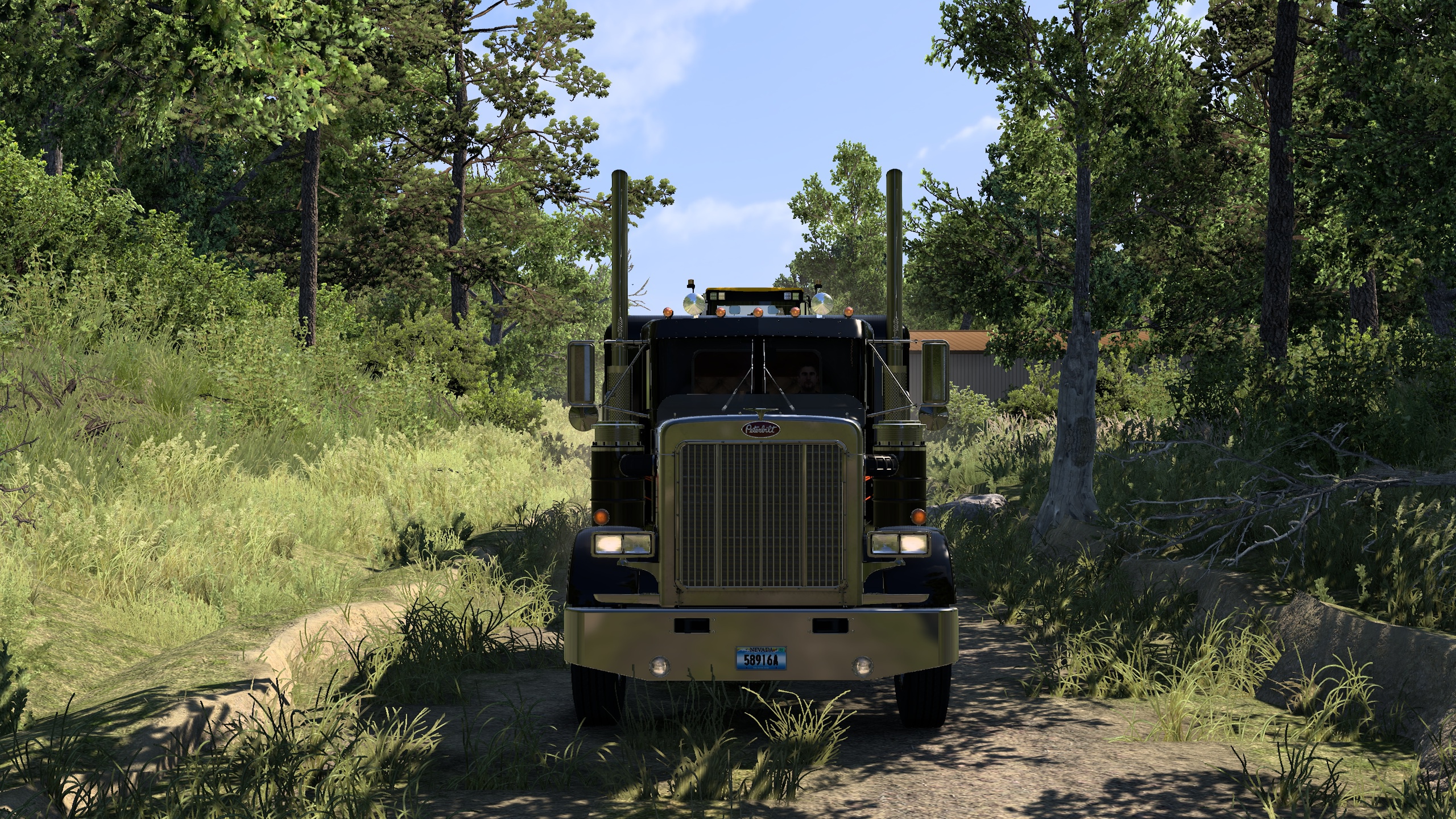 Image by jenzGuitarist