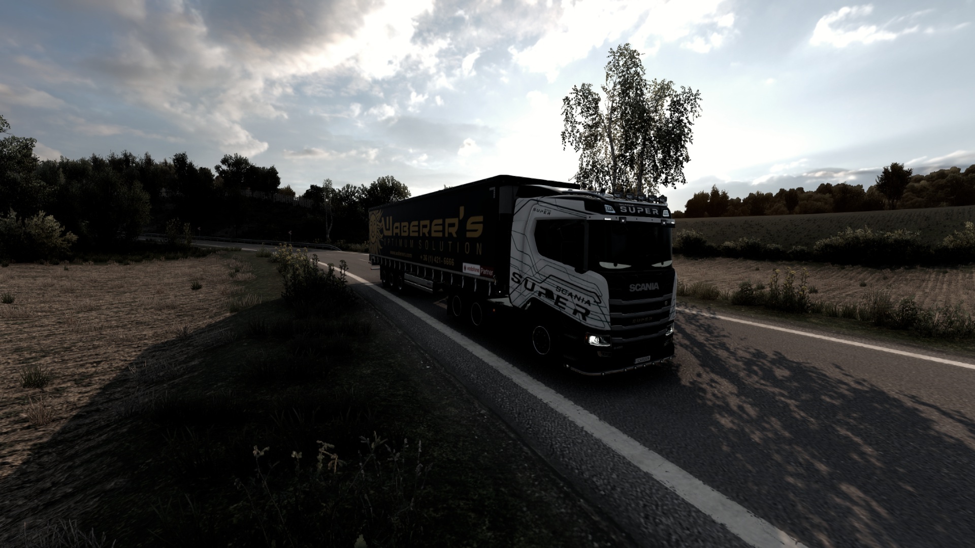 Image by RicardoBonato98