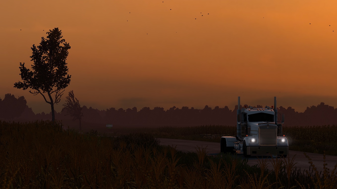 Image by rafael_petit