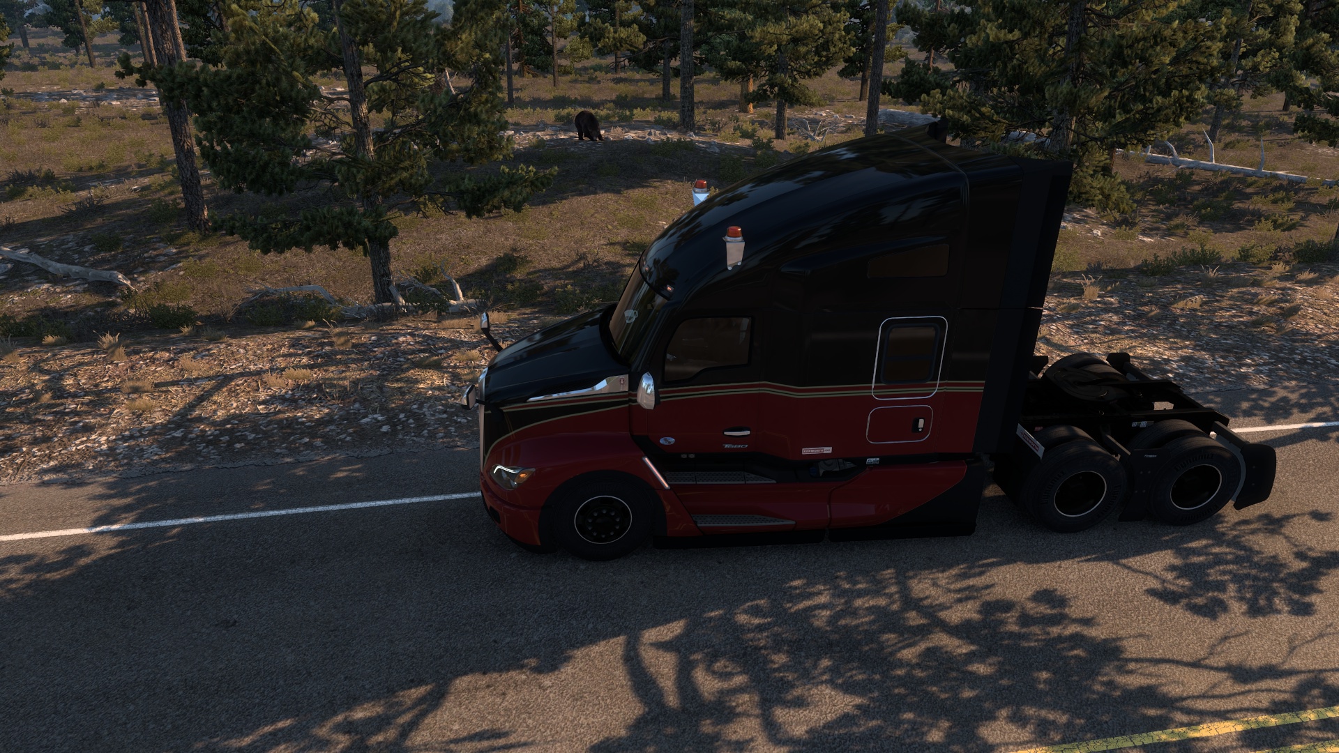 Image by DavidKollmann