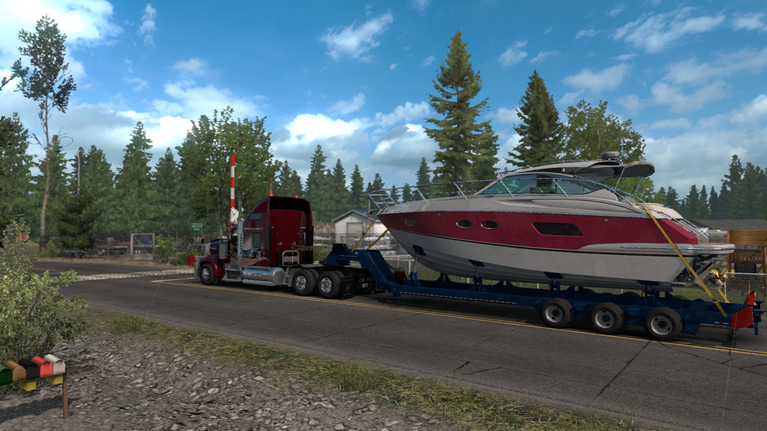 Image by Otago_Ruataniwha