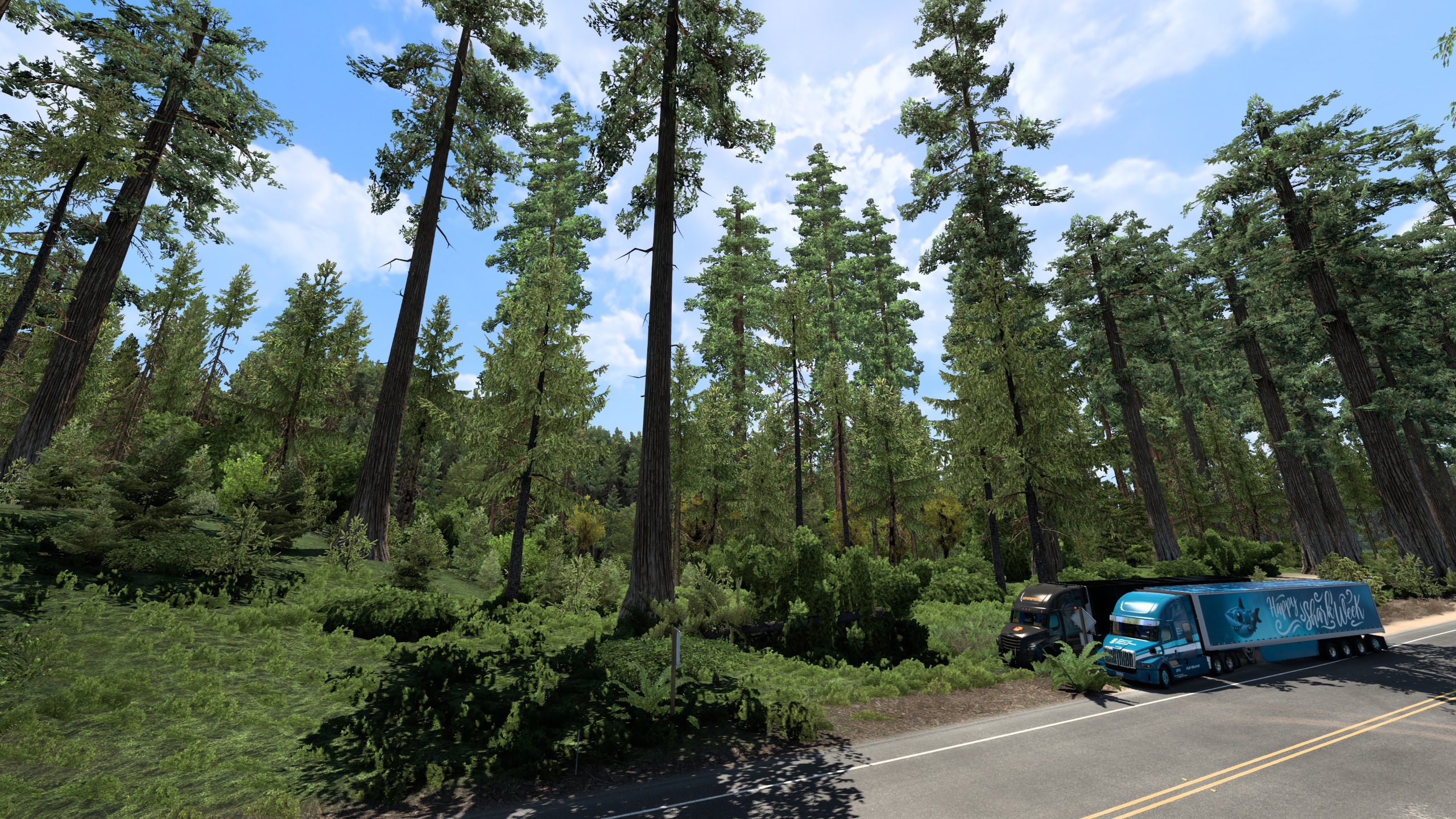 Image by ExaminerIan