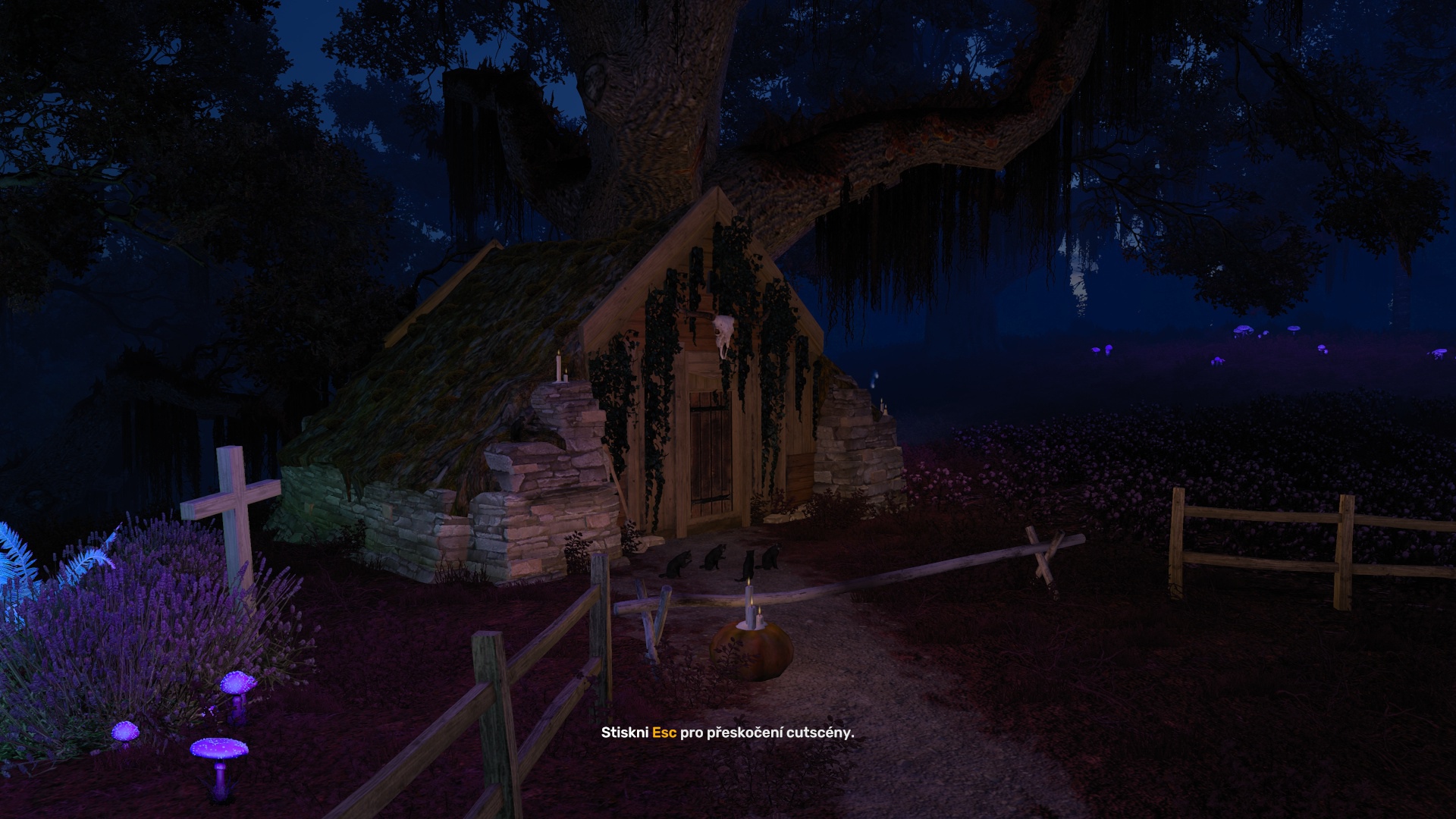 Image by staropramen9137