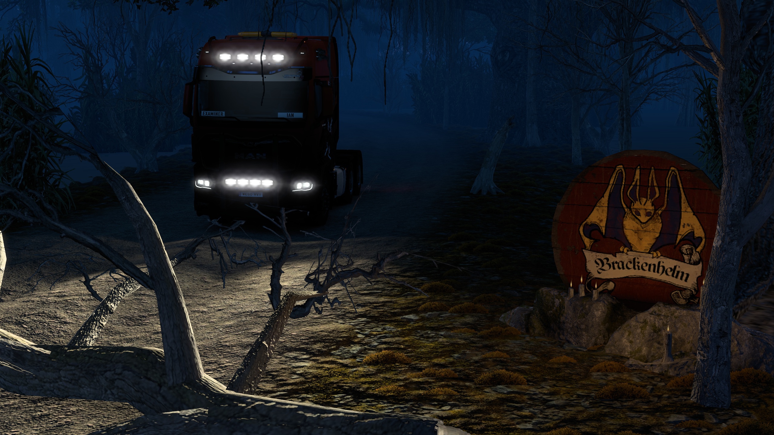 Image by ExaminerIan