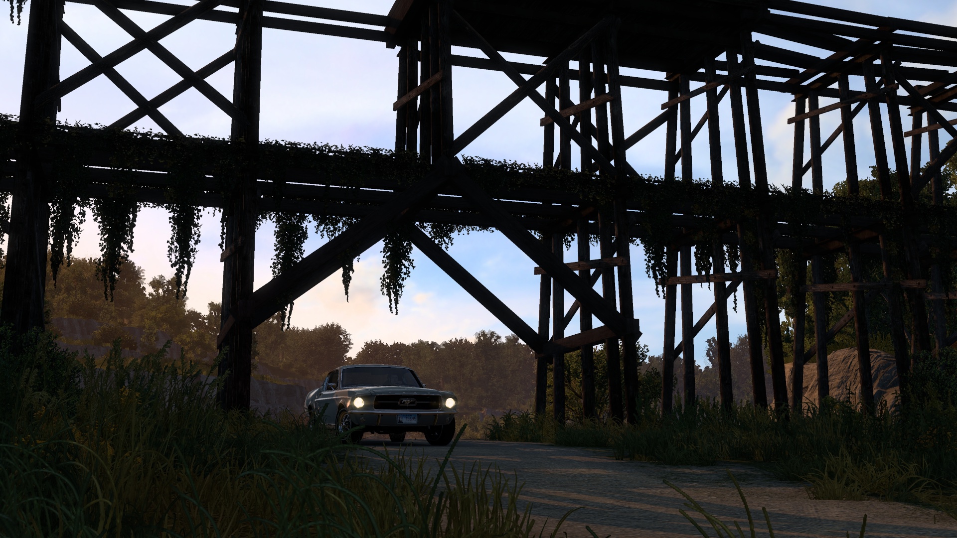 Image by Tr1nity
