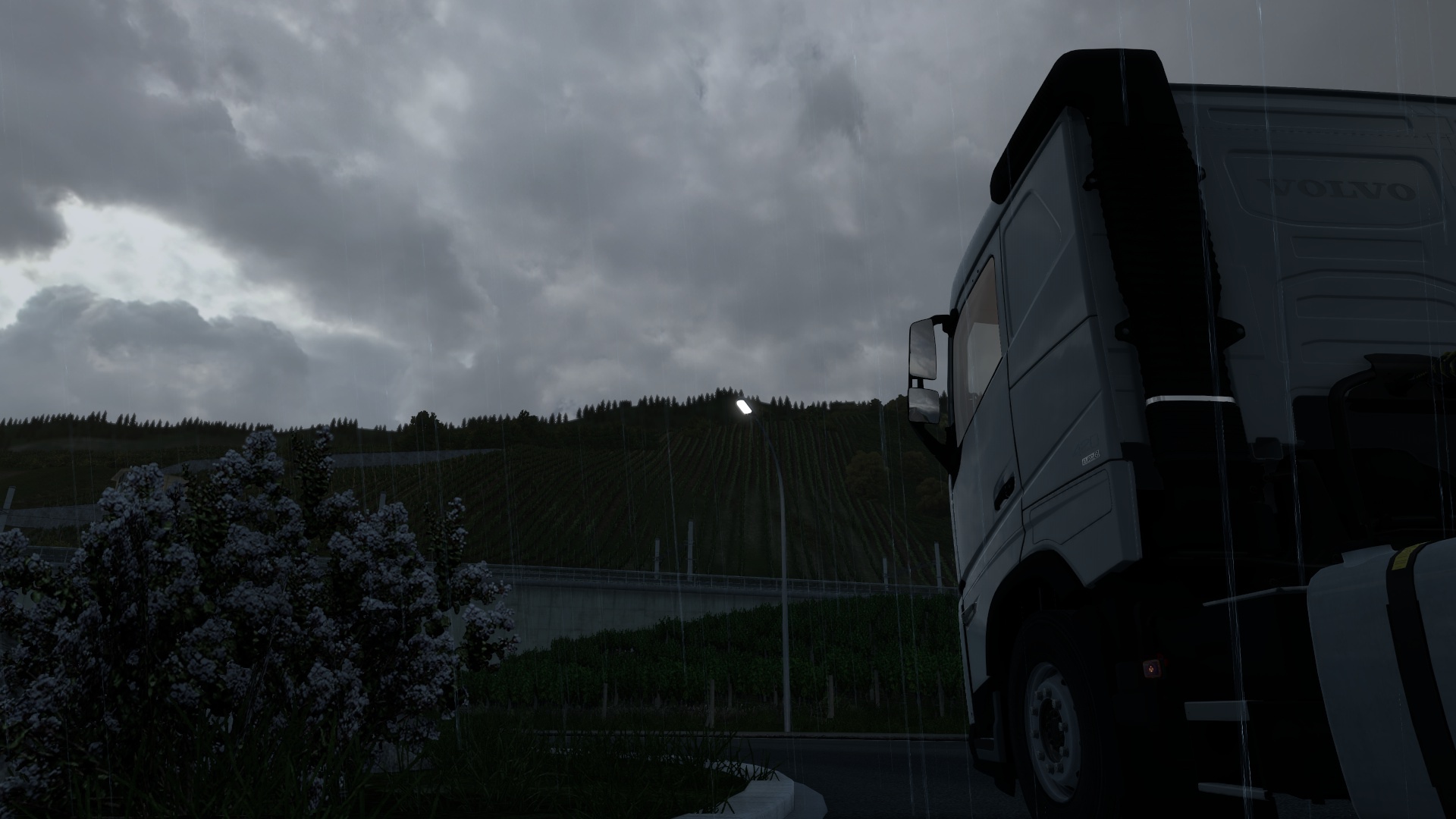 Image by RoysterXee