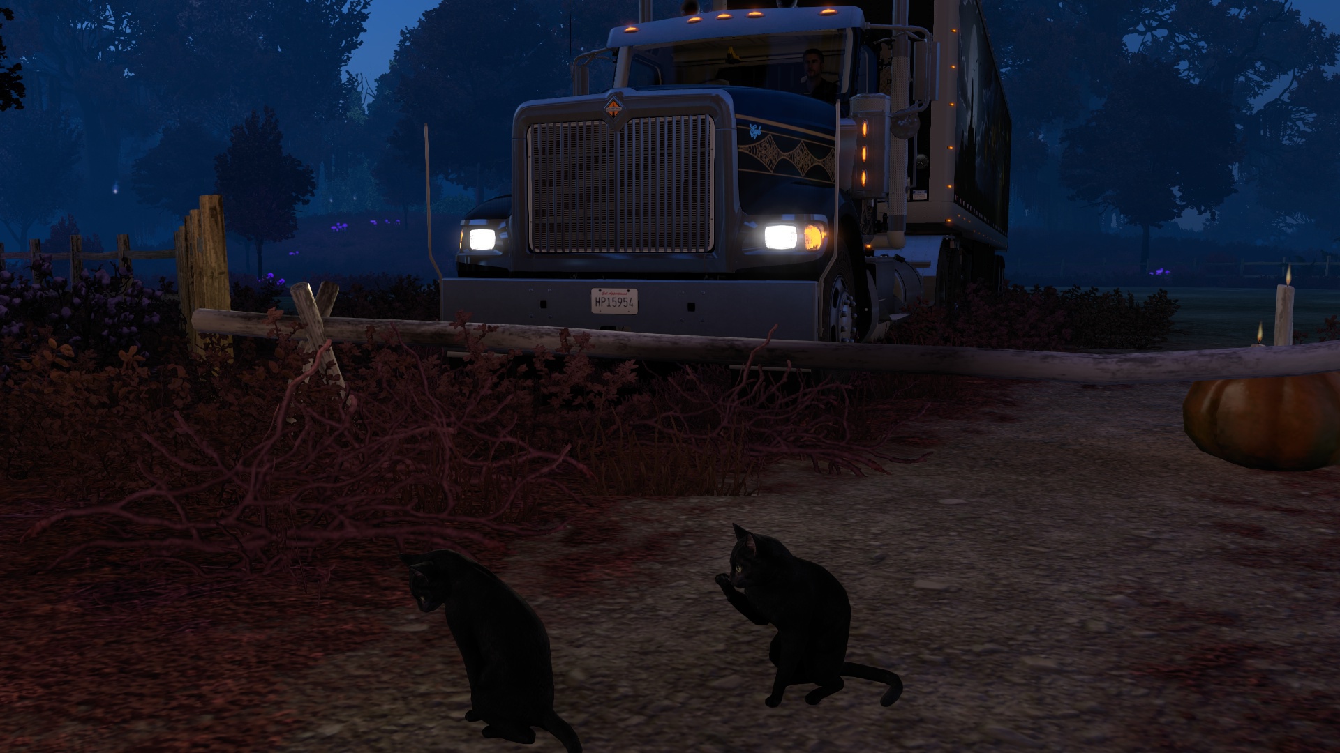 Image by rodrigobeltrame