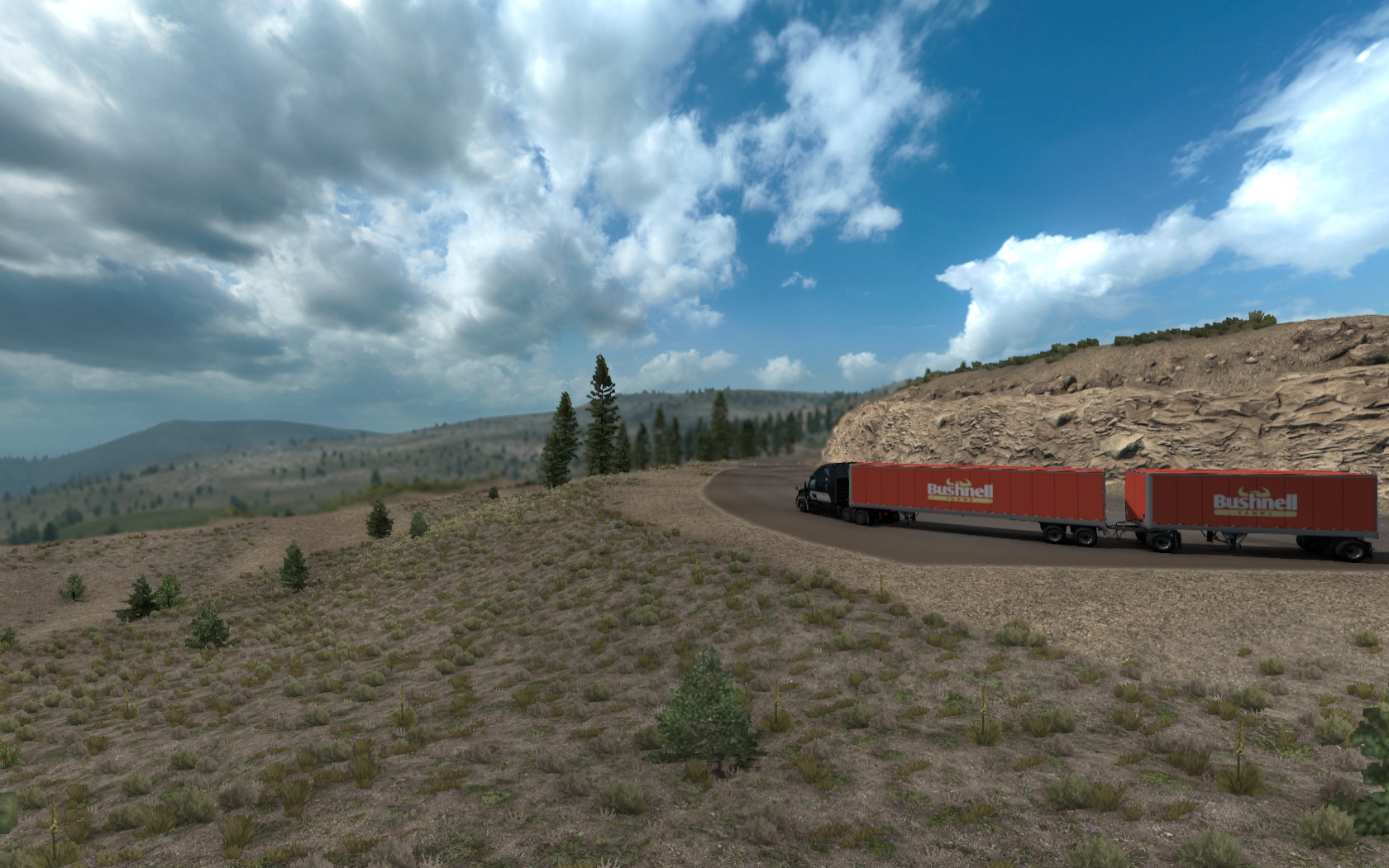 Image by ExaminerIan