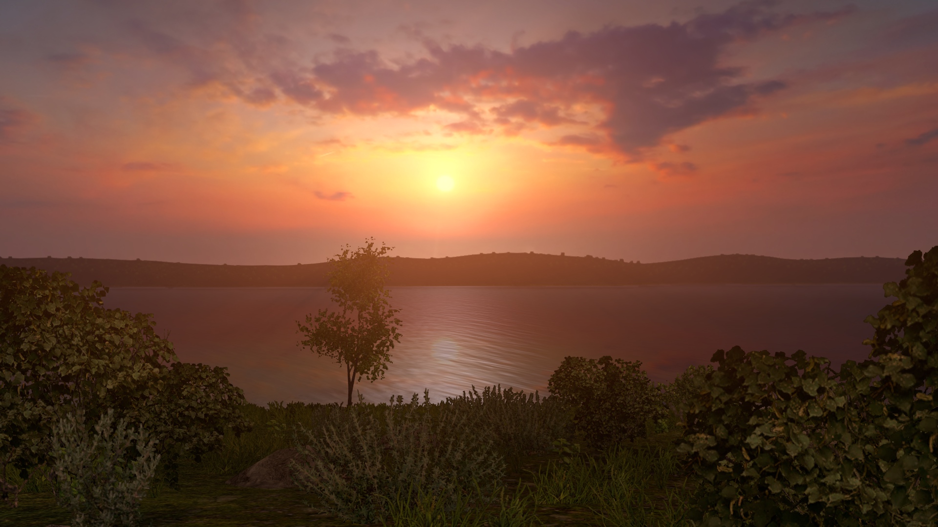 Image by affectiosus