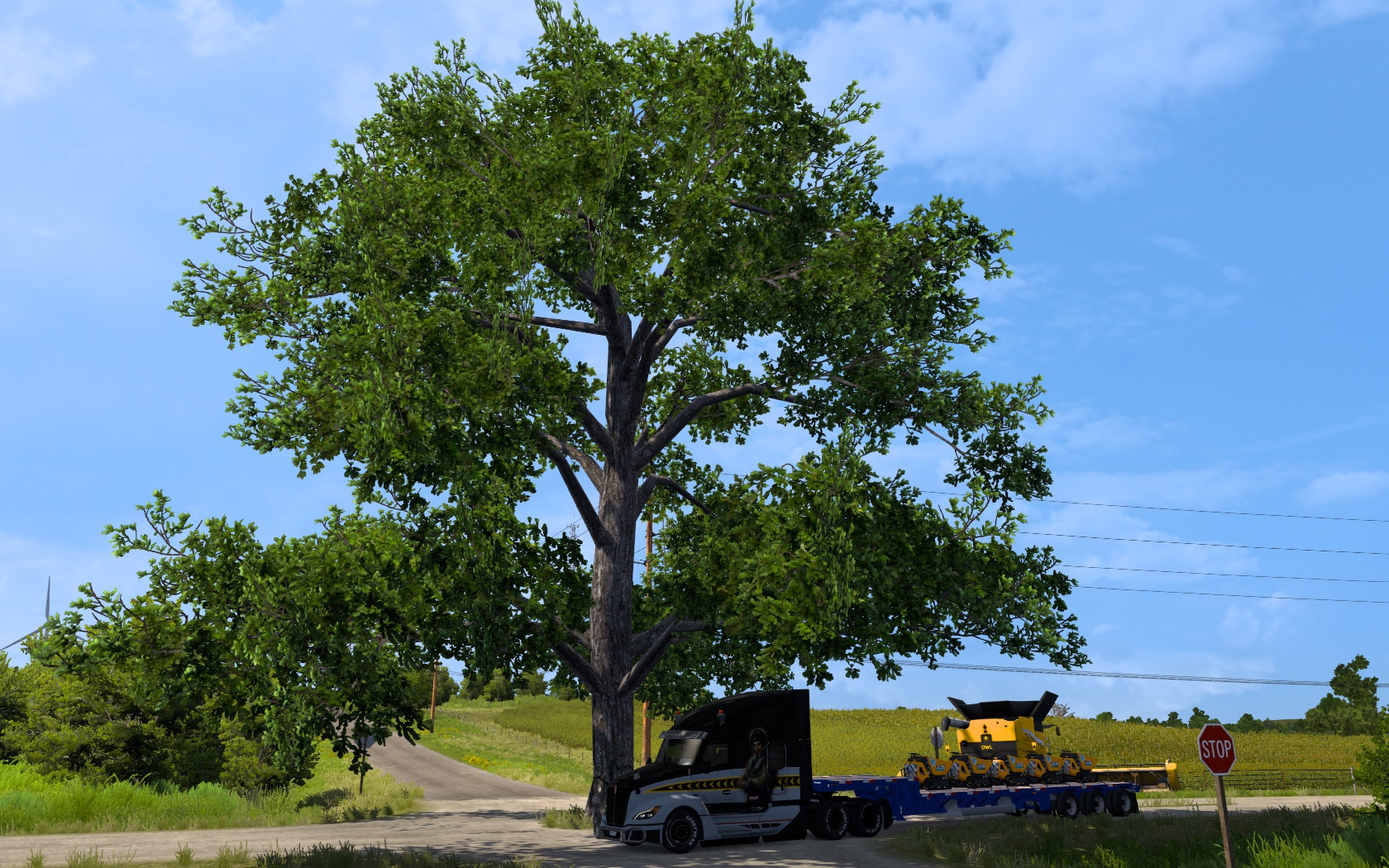 Image by Danielski123