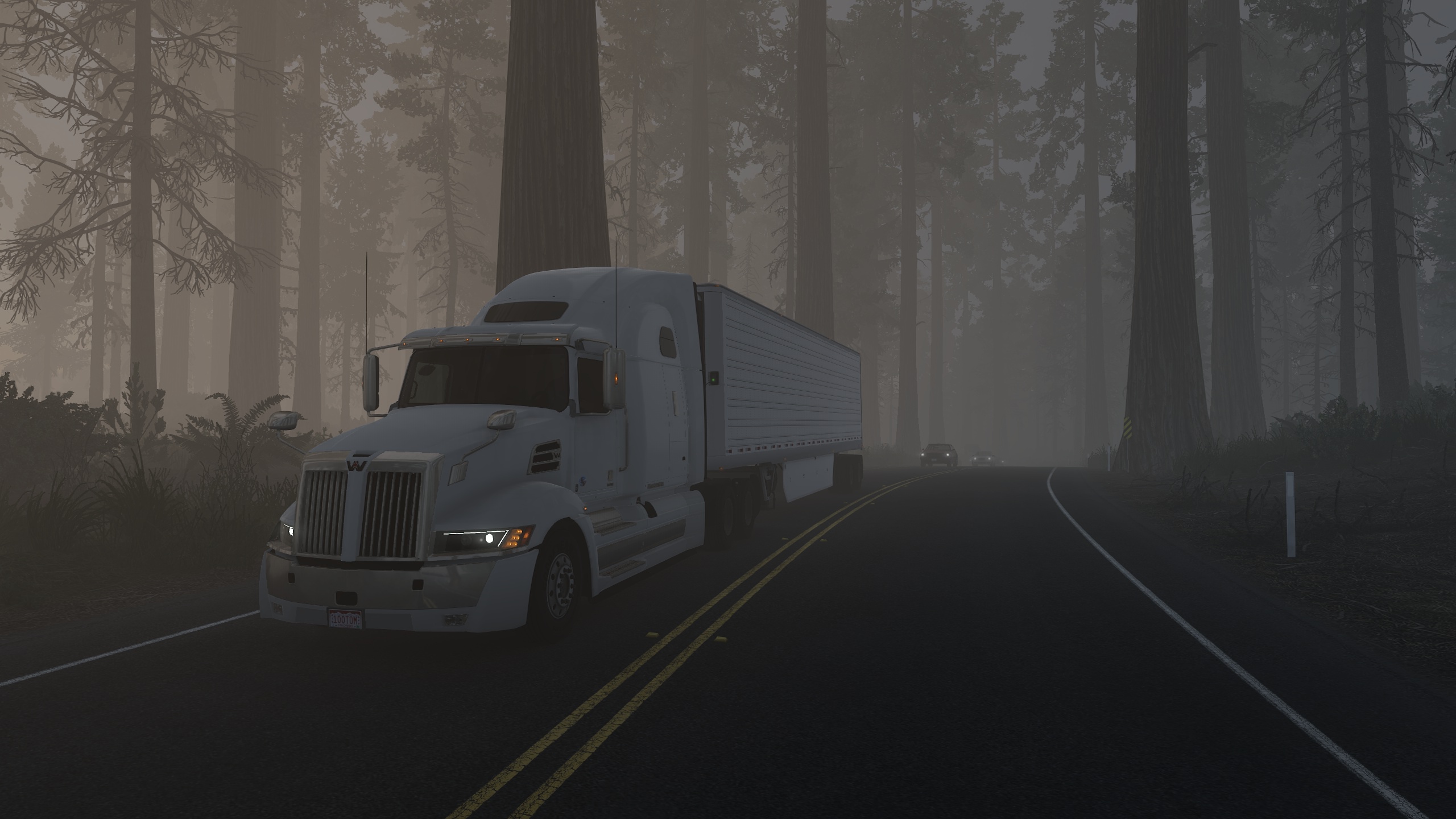 Image by toomas_joamets