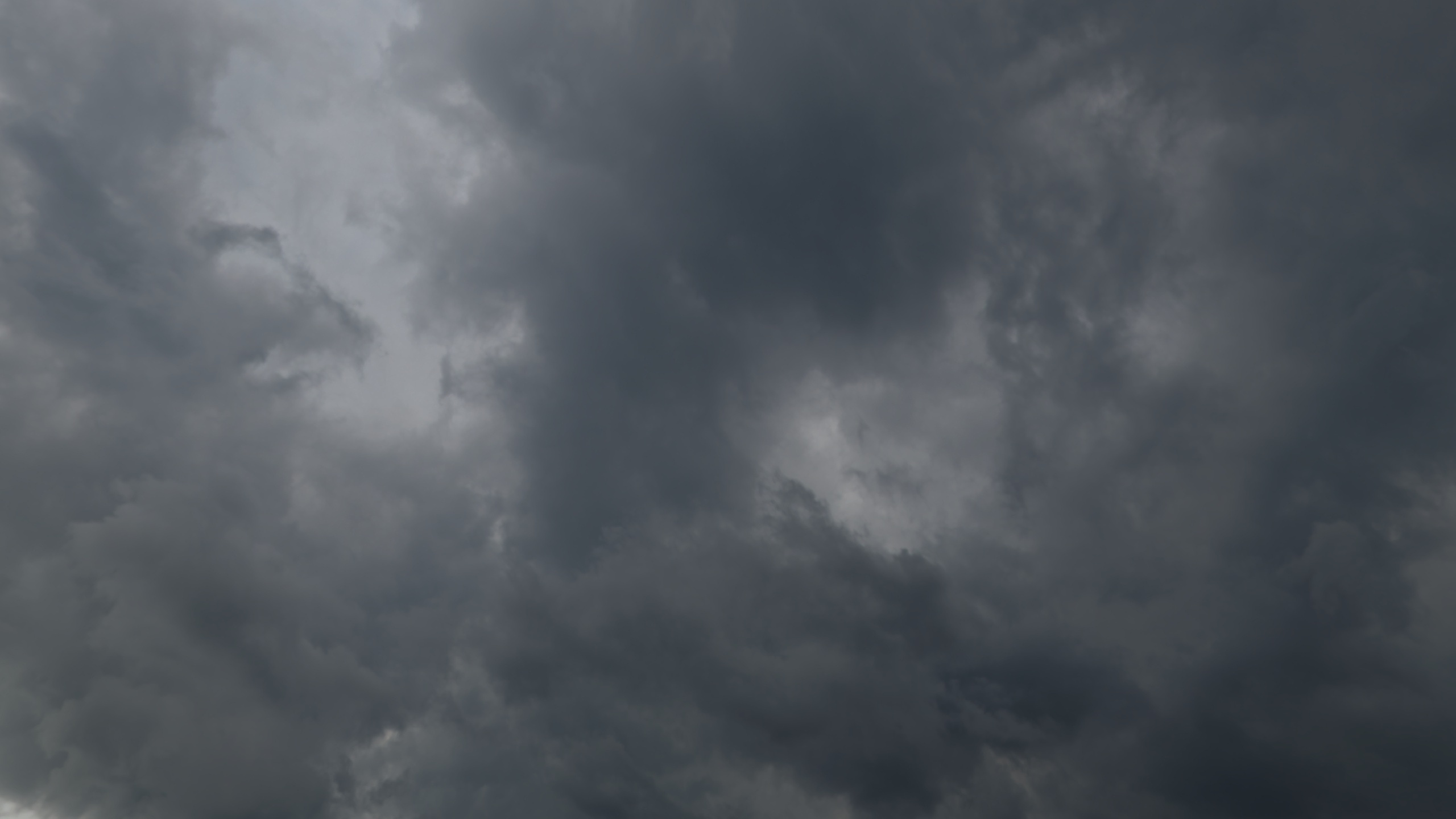 Image by Lilly__Stein