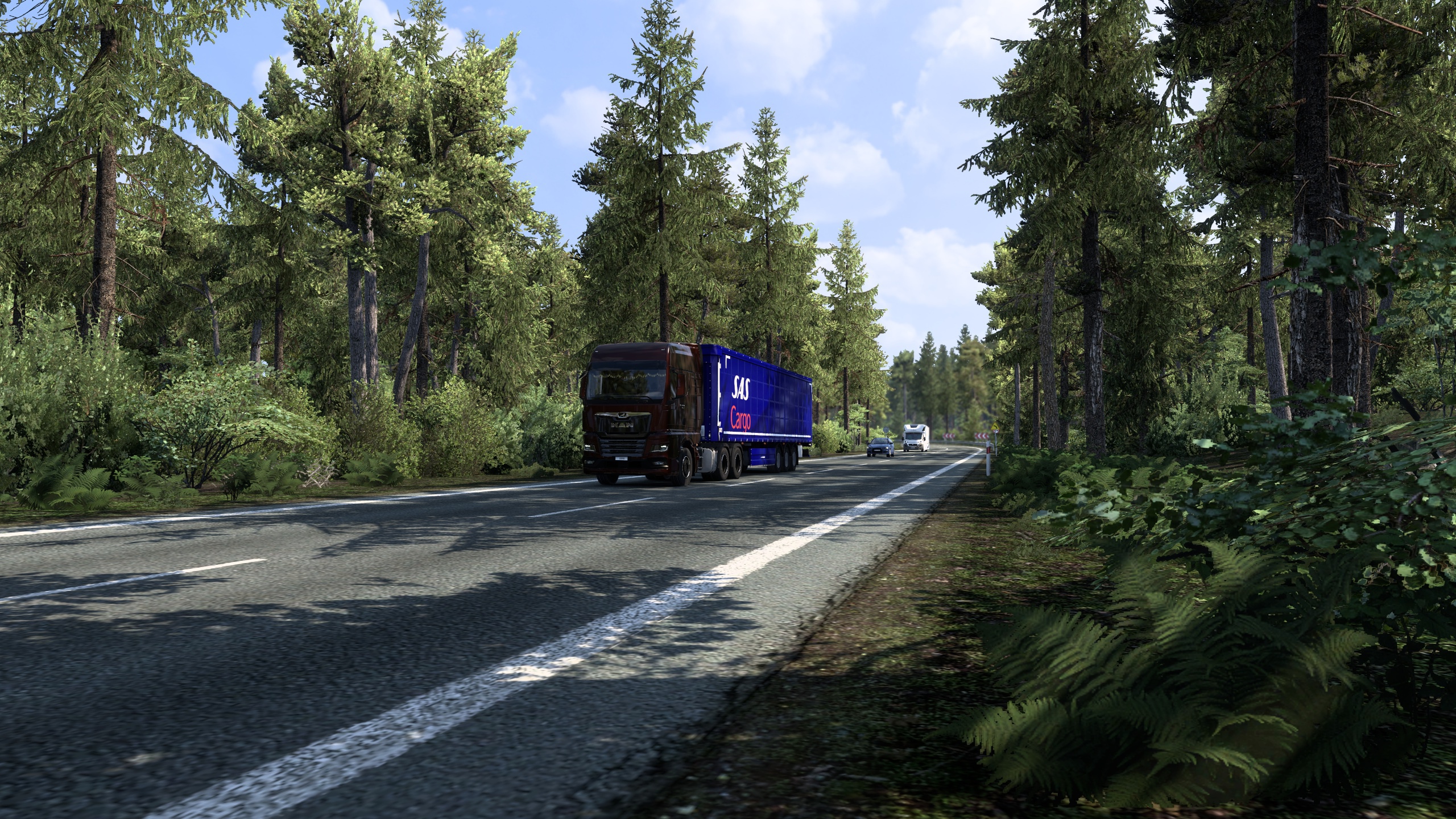 Image by SenaKashiwazaki