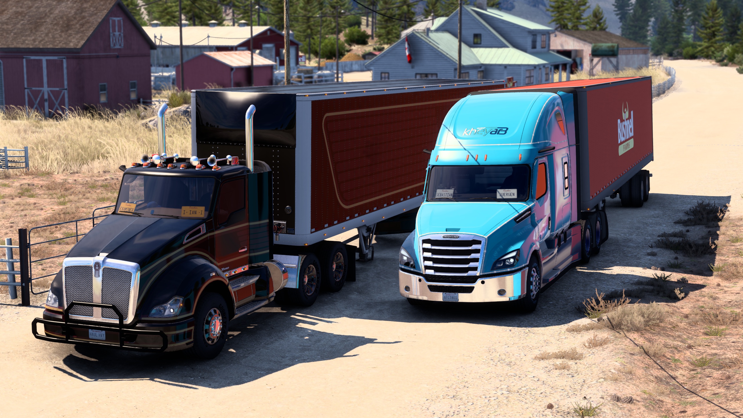 Image by ExaminerIan