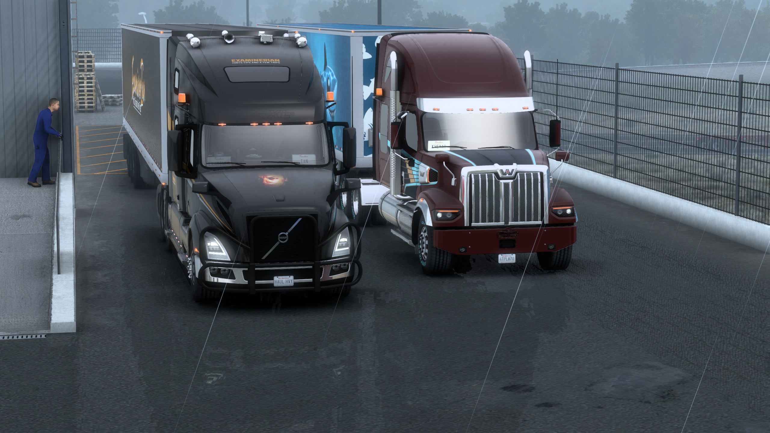 Image by ExaminerIan