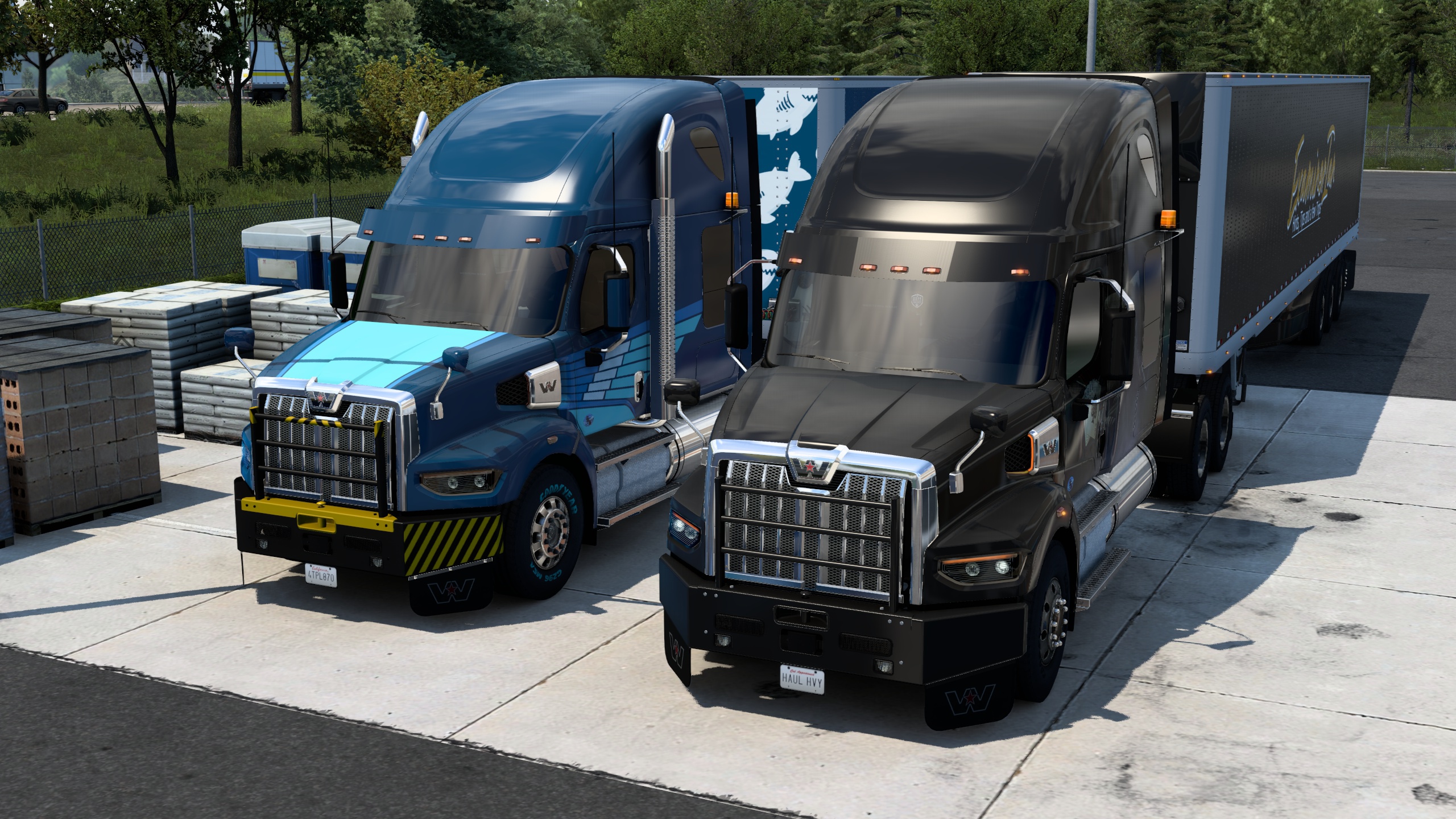 Image by ExaminerIan