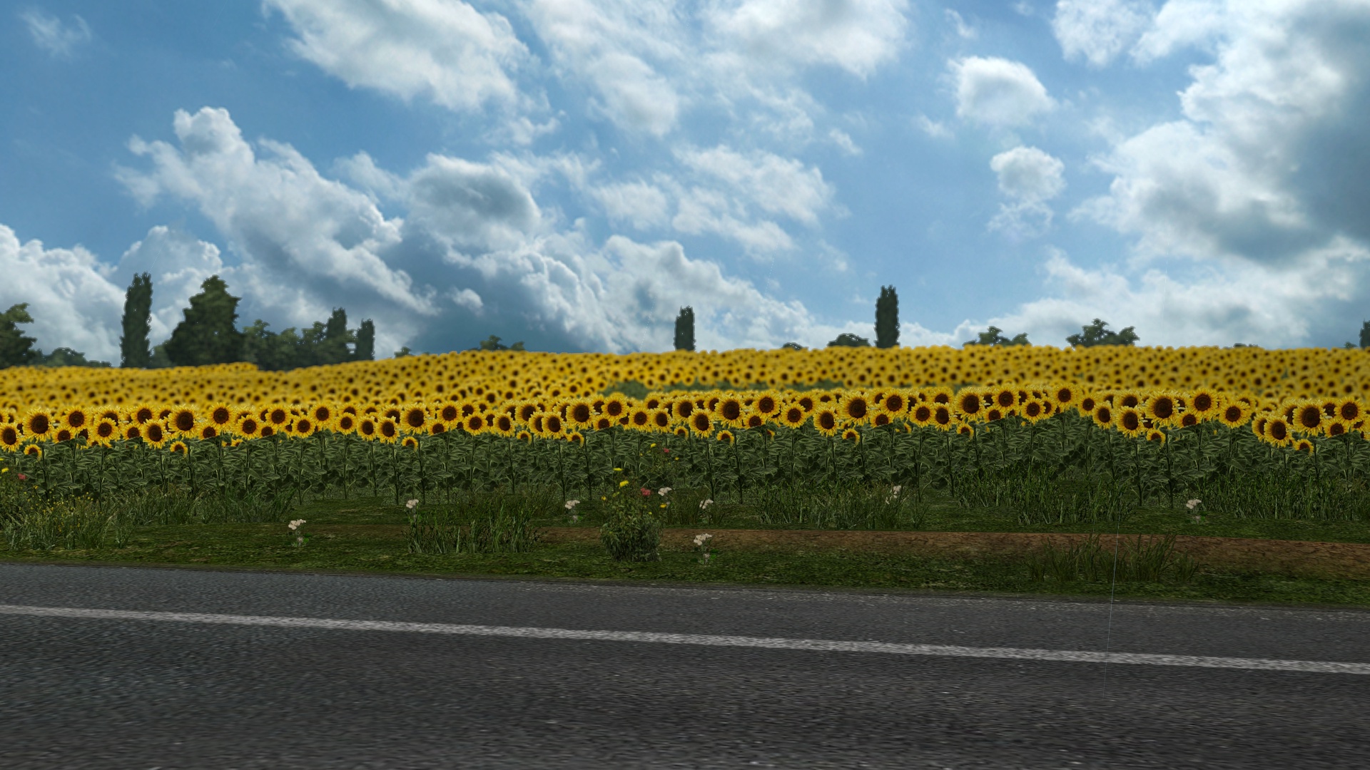 Image by haojianqiang666