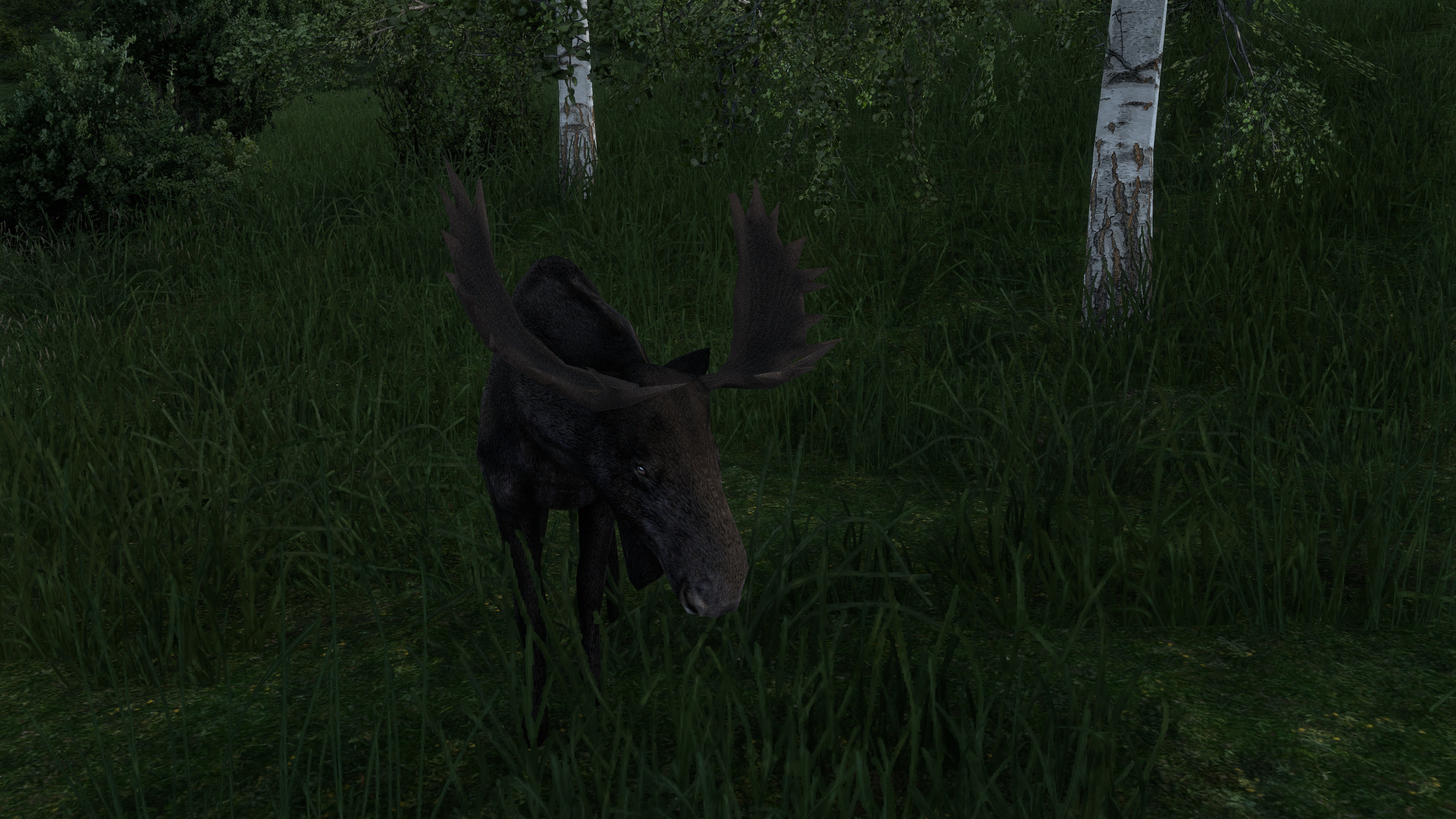 Image by Julius_der_111