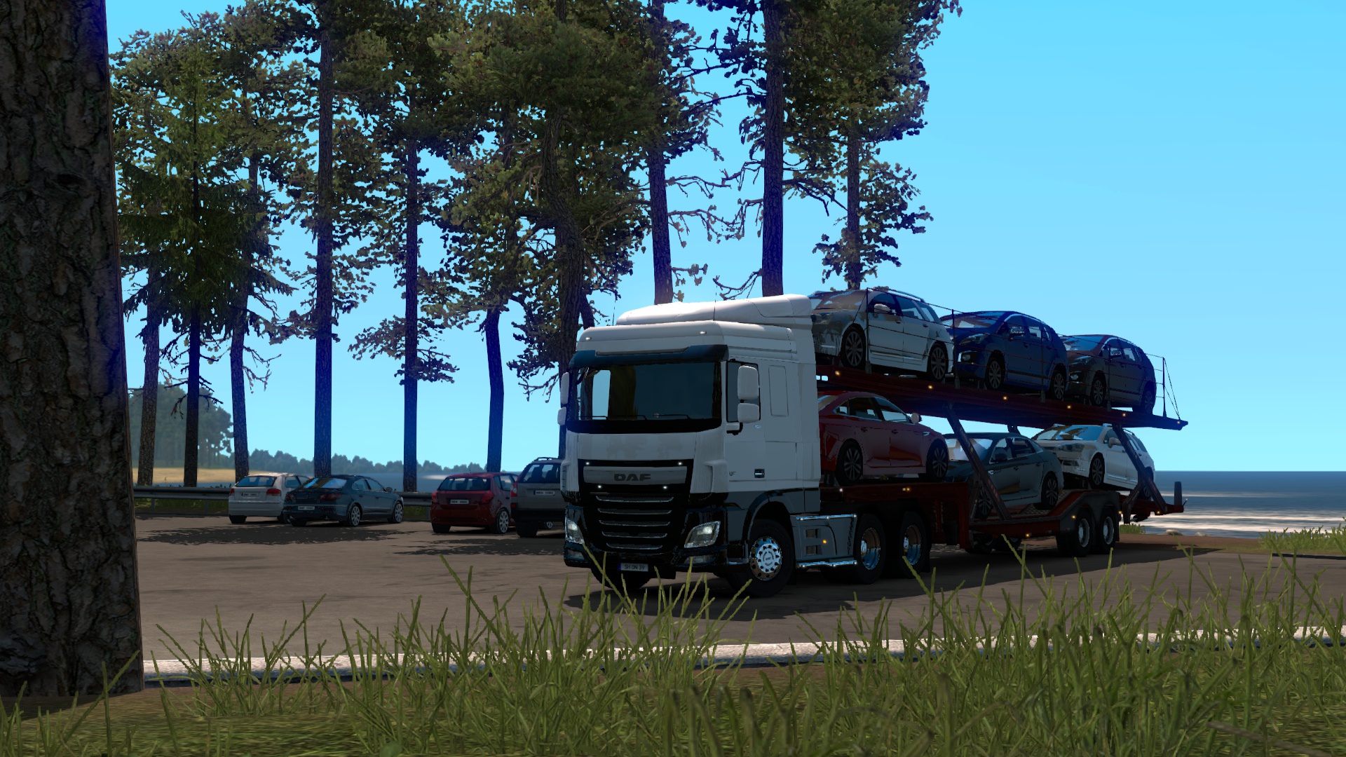 Image by Schon239