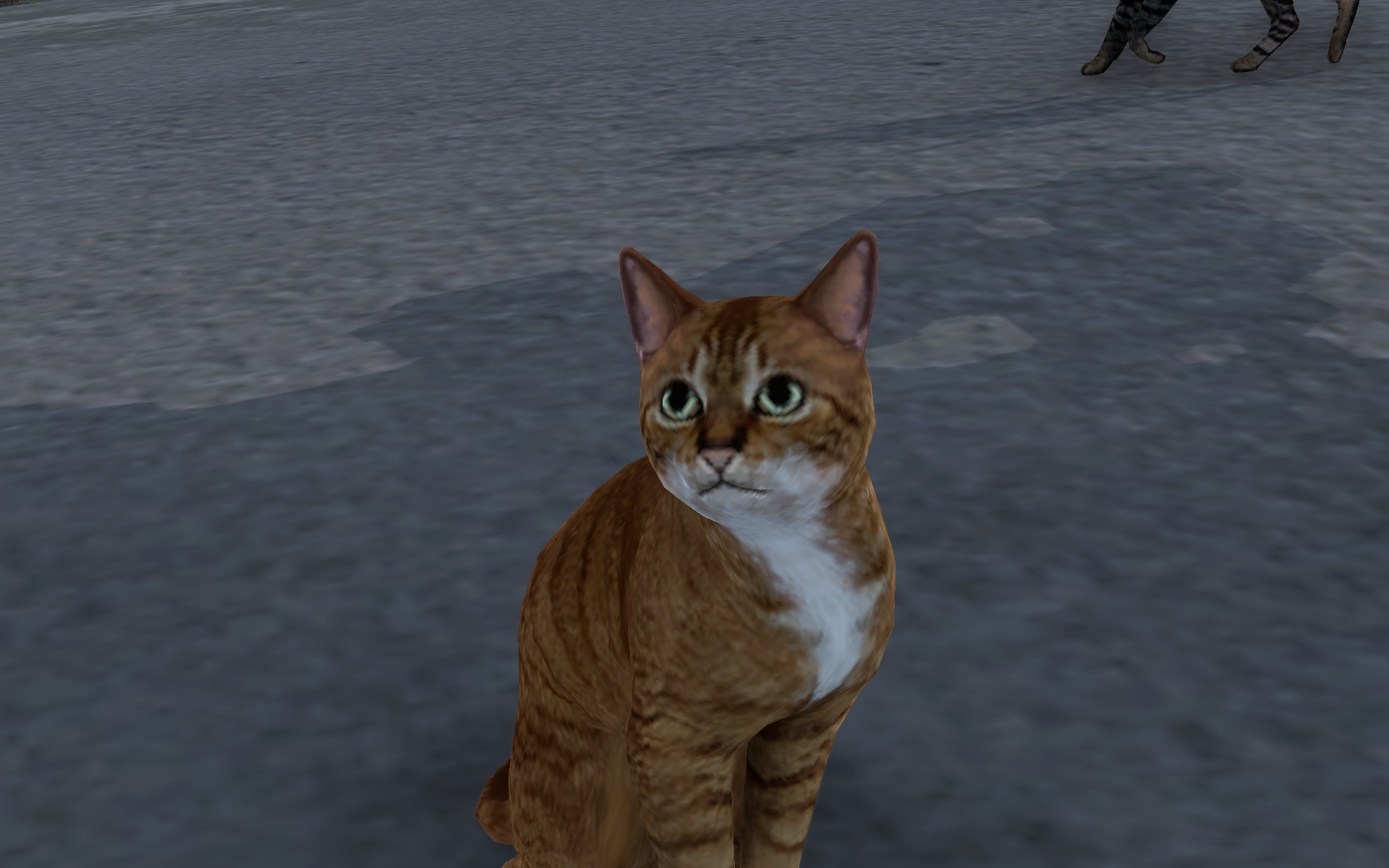 Image by The_Emperors_Cat