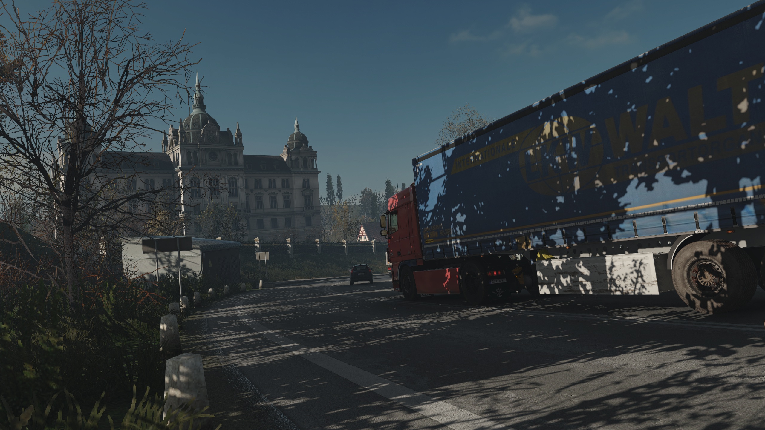 Image by KarolZuchowski