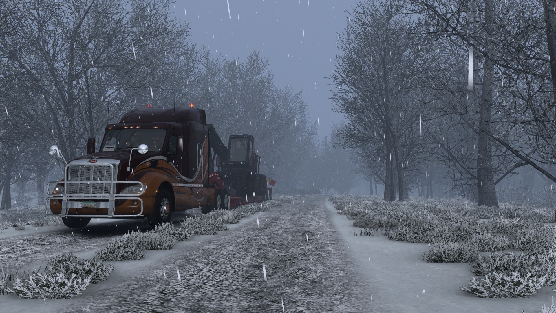 Image by Kerim1