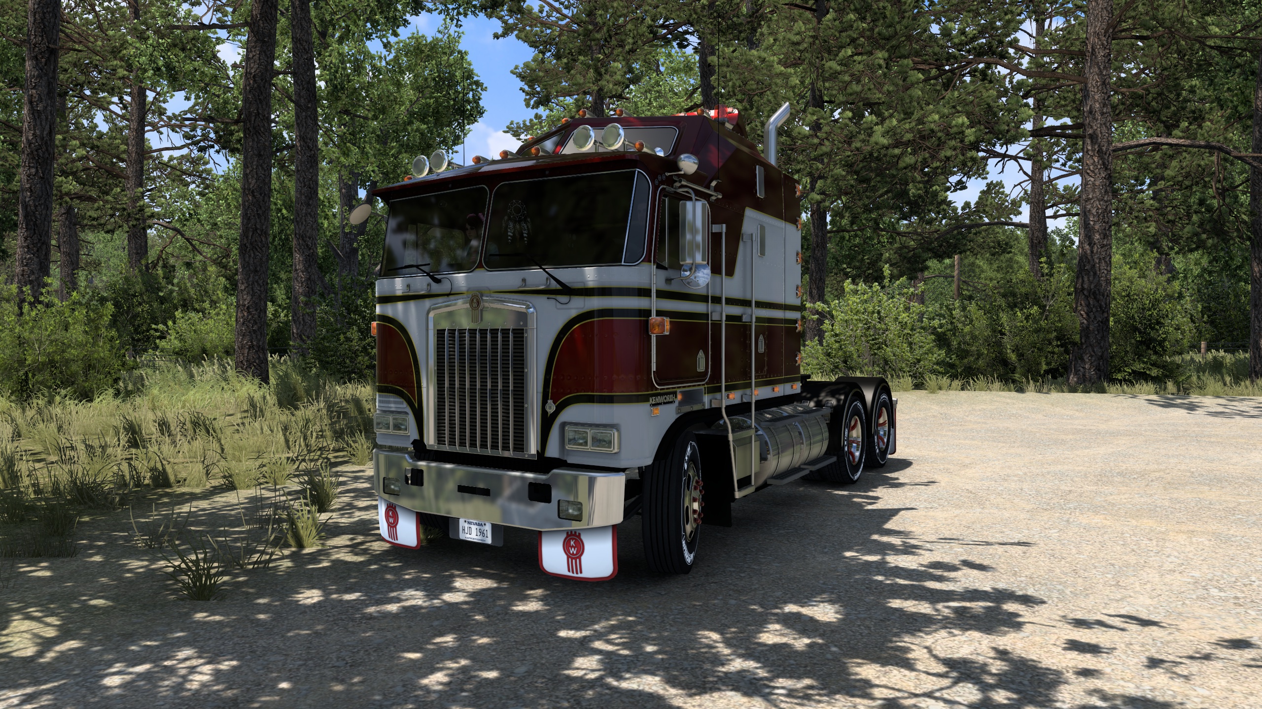 Image by roadrunner1961