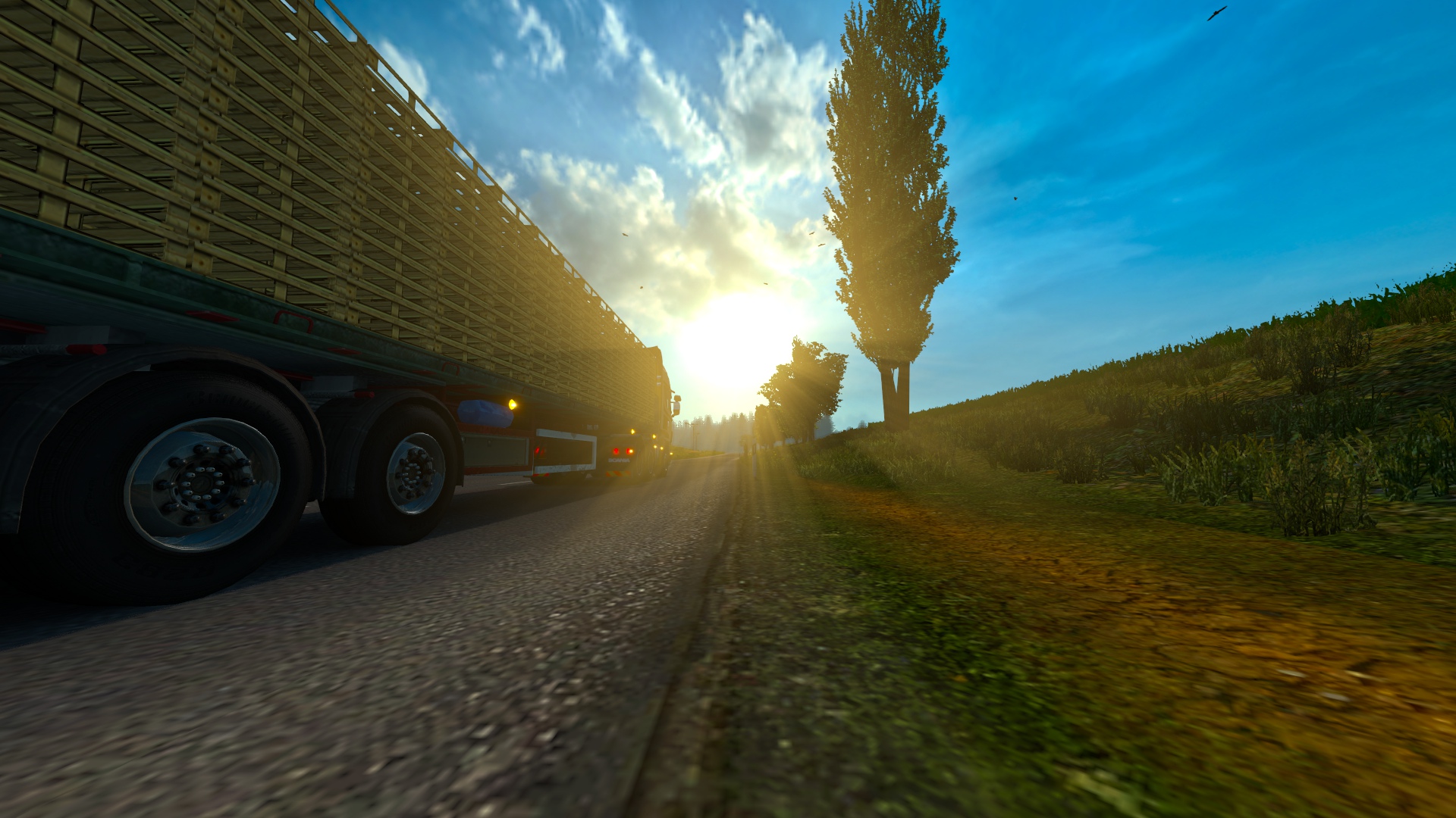 Image by scott972
