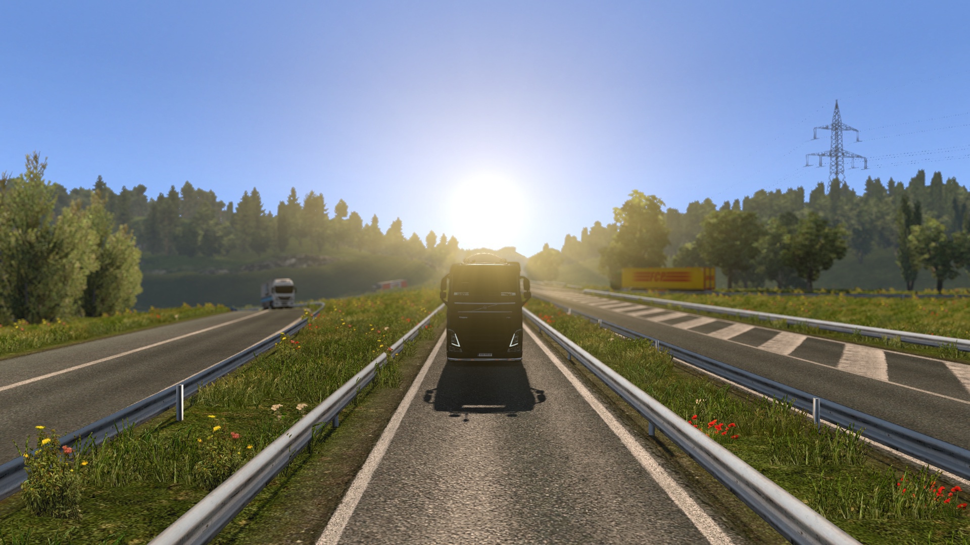 Image by alexandregf4