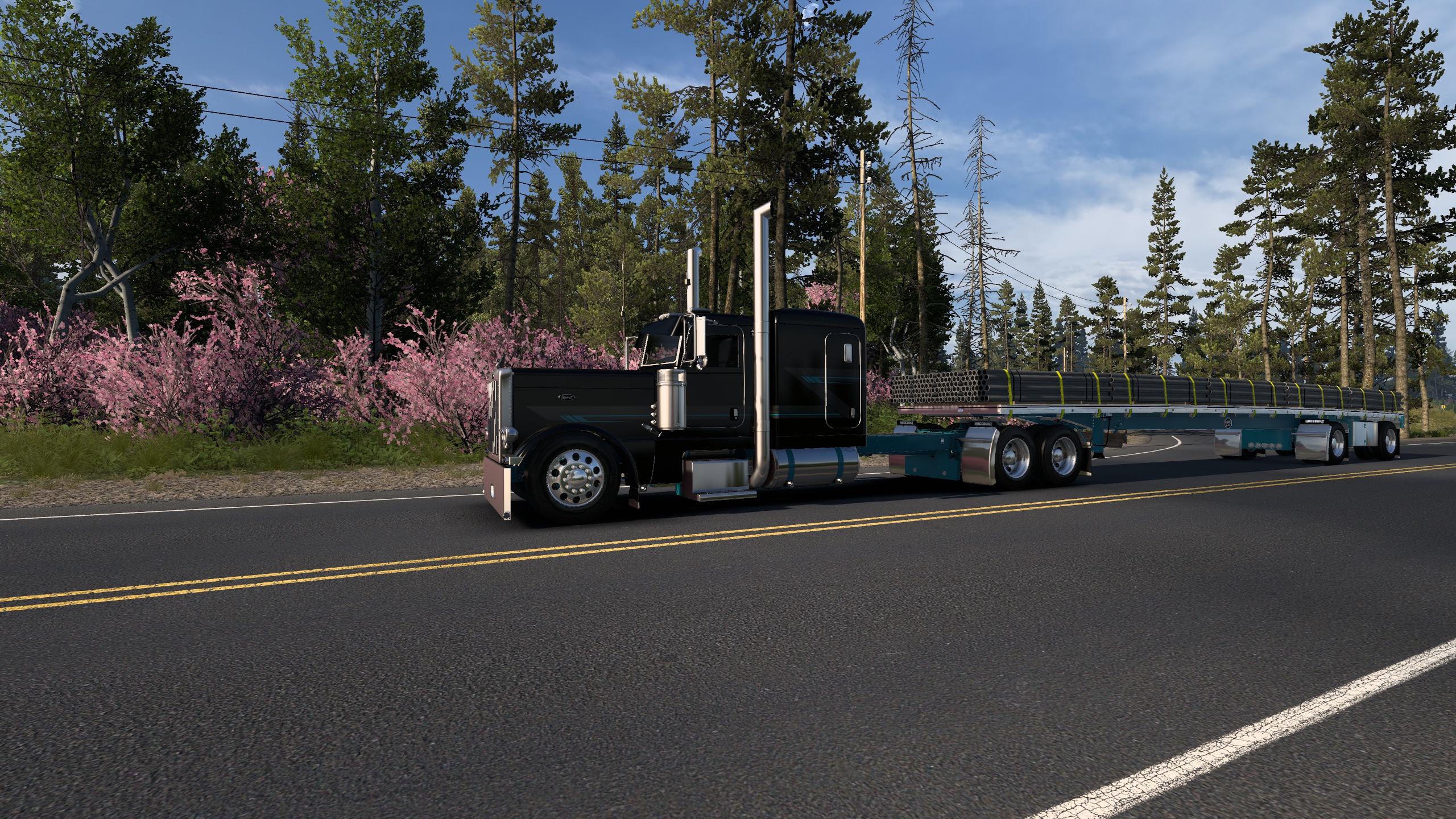 Image by bullnosekenworth