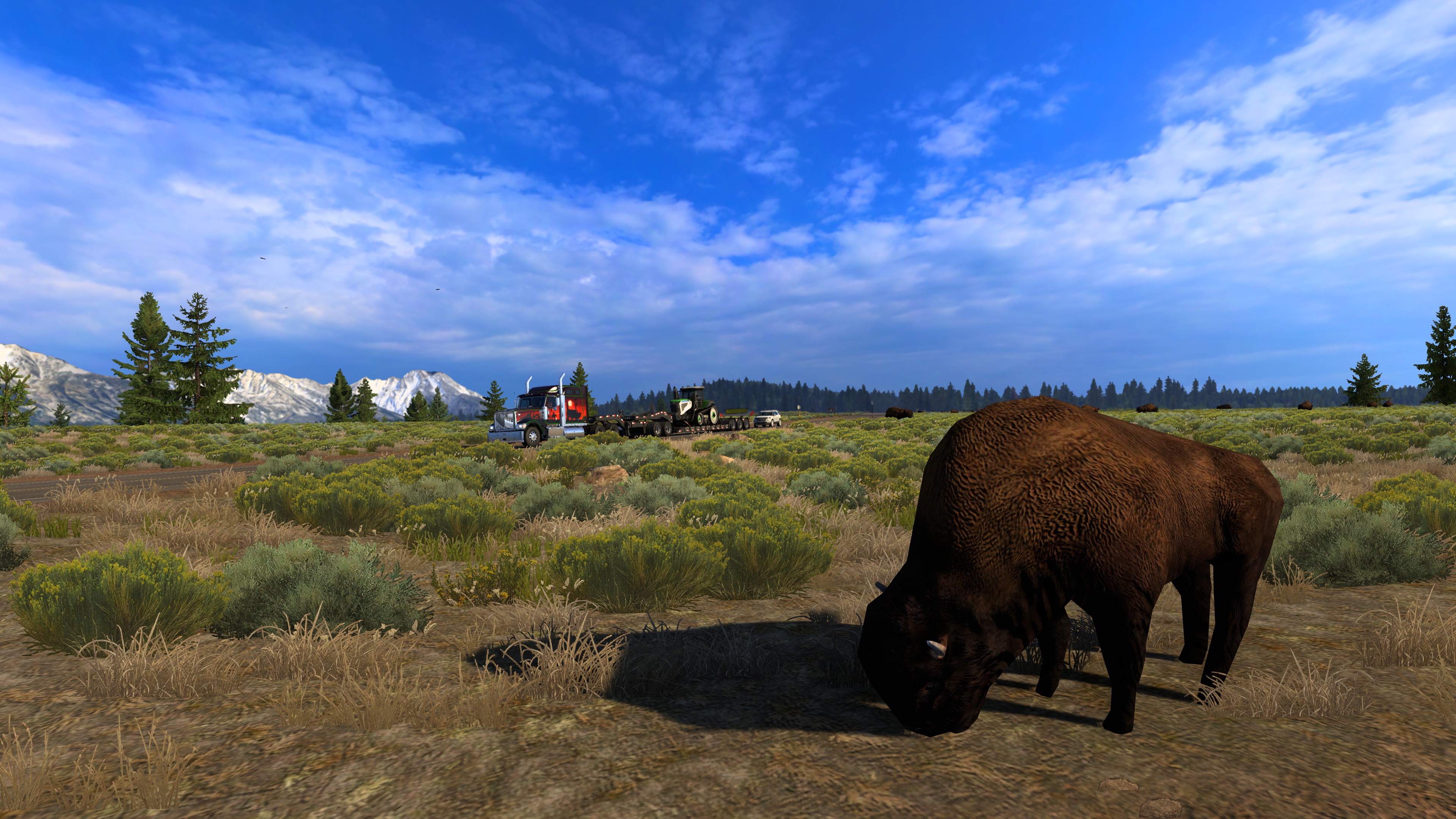 Image by Norika_Kira