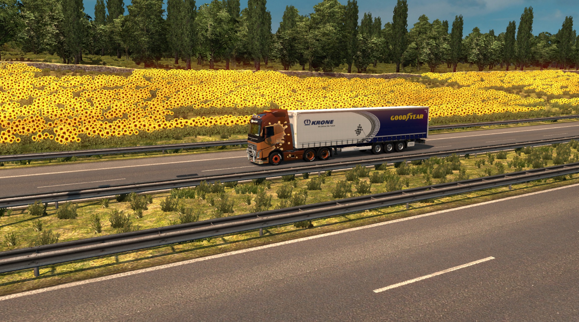 Image by Transgutiva