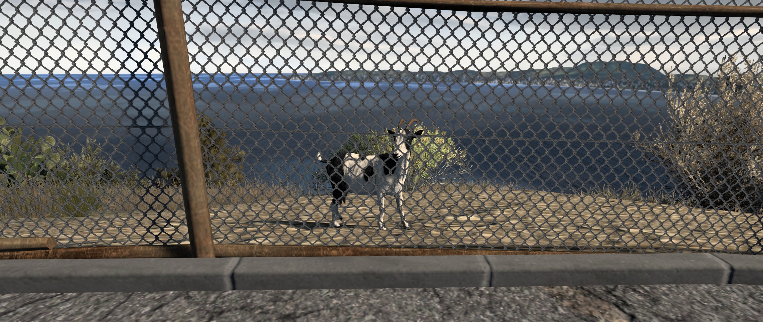 Image by DeuceDriver66