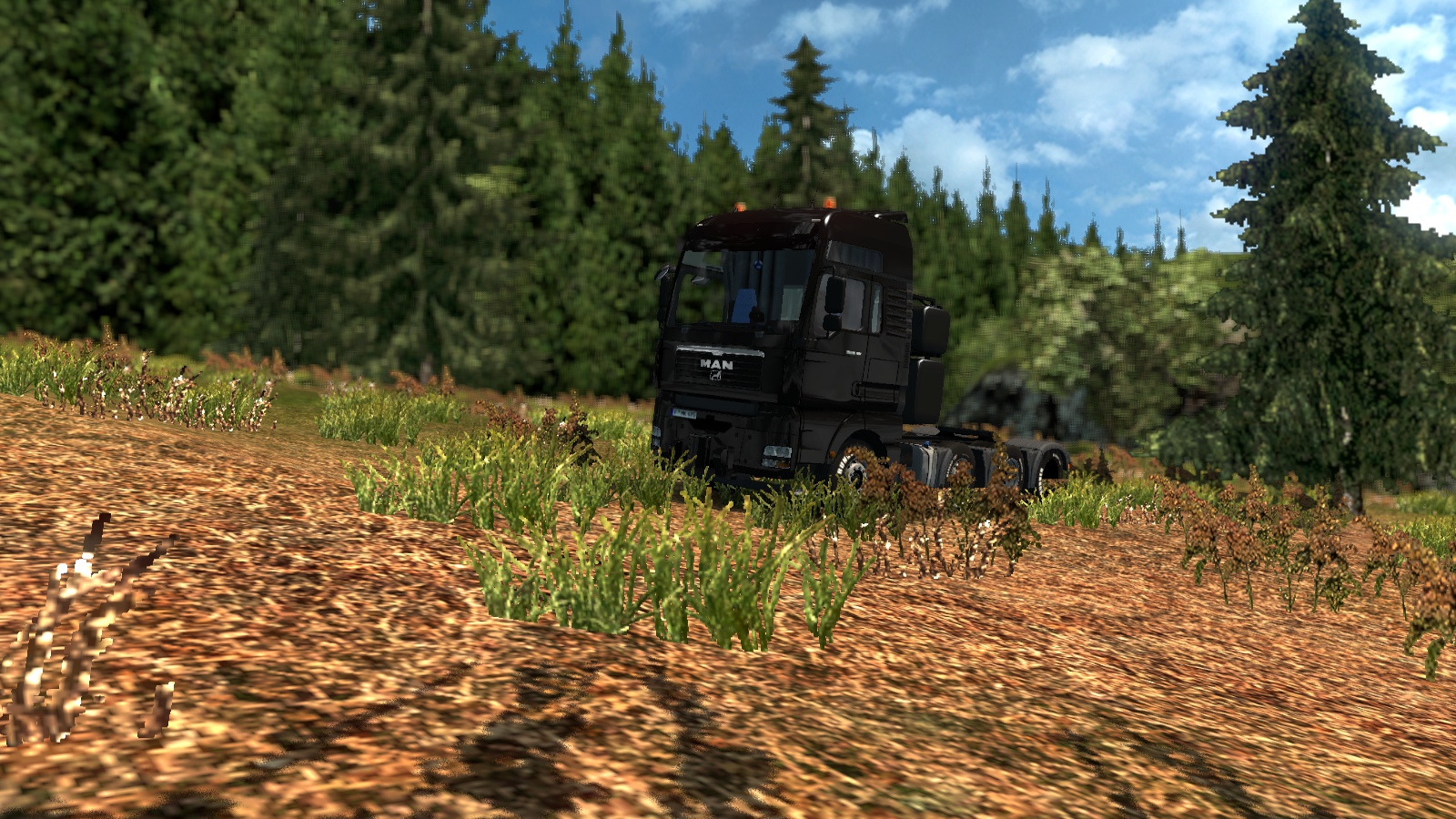 Image by Sami0801