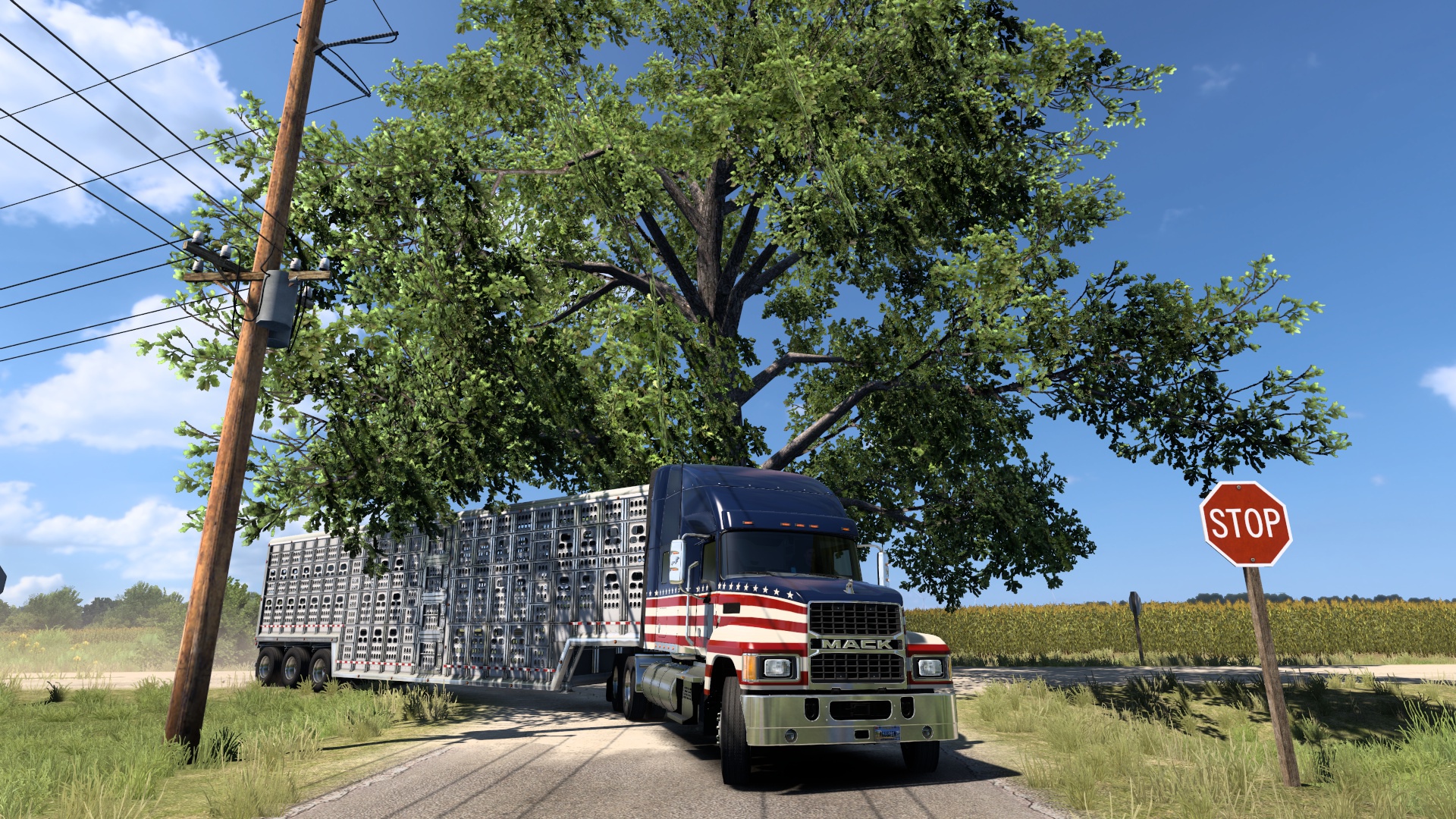 Image by agustinciitoo29