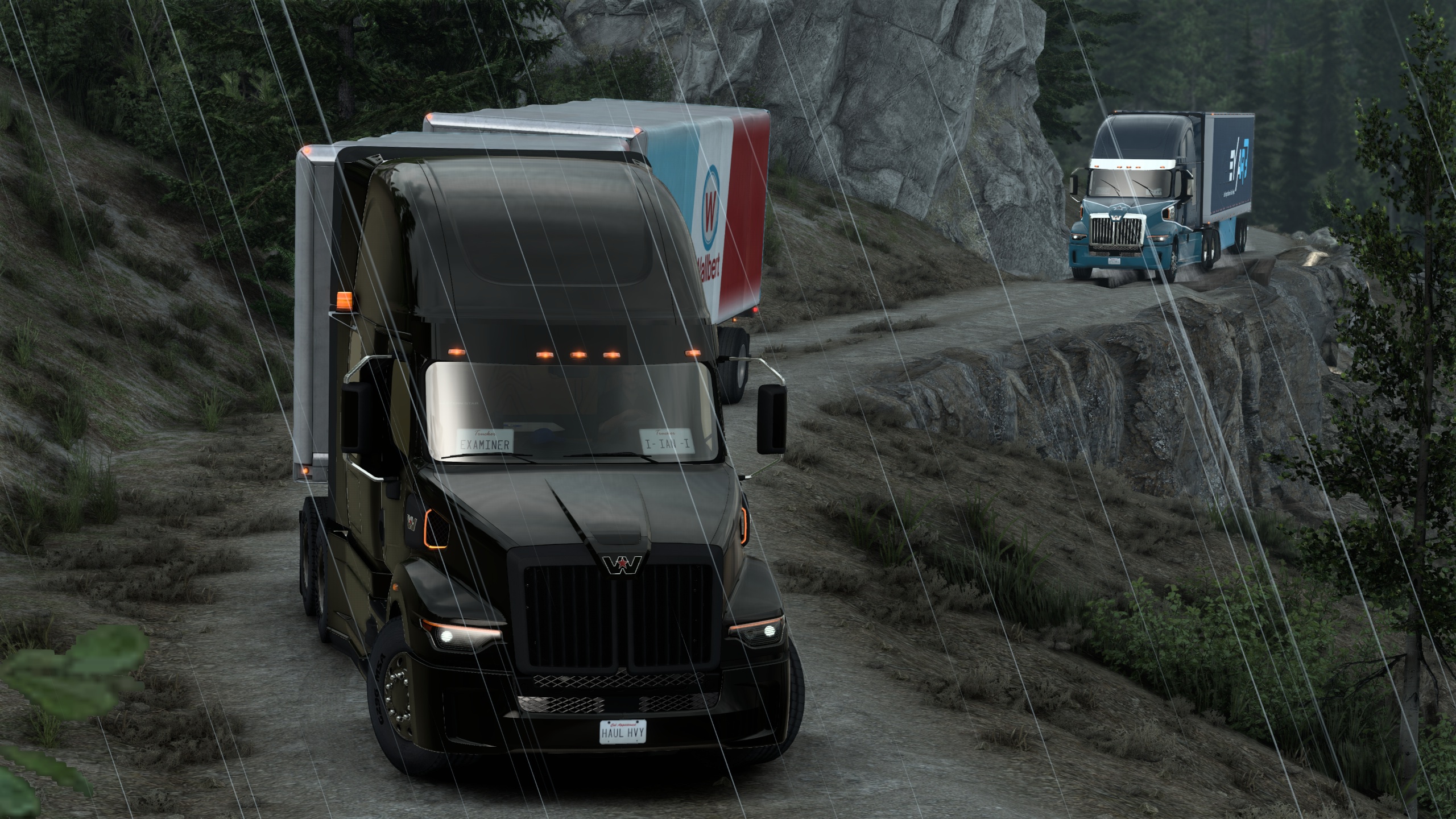 Image by ExaminerIan