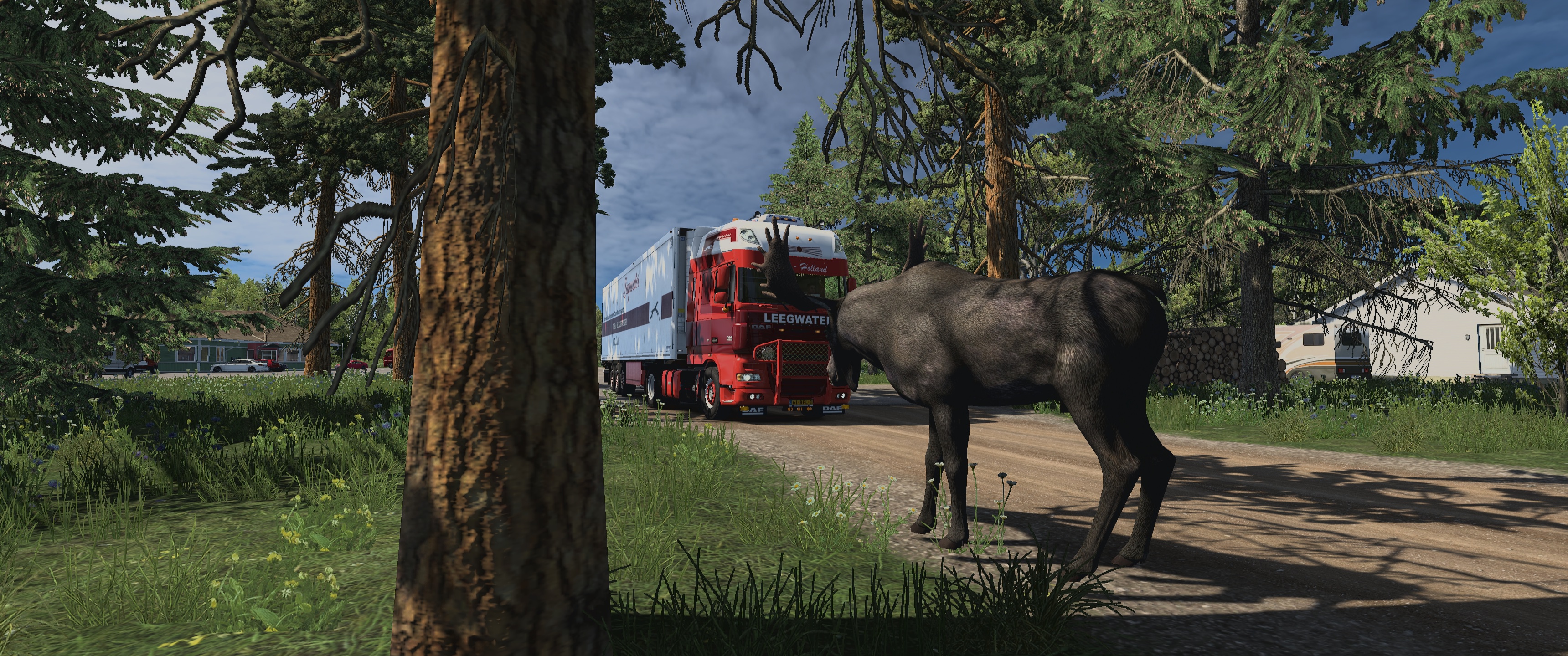 Image by ImmerGeradeaus