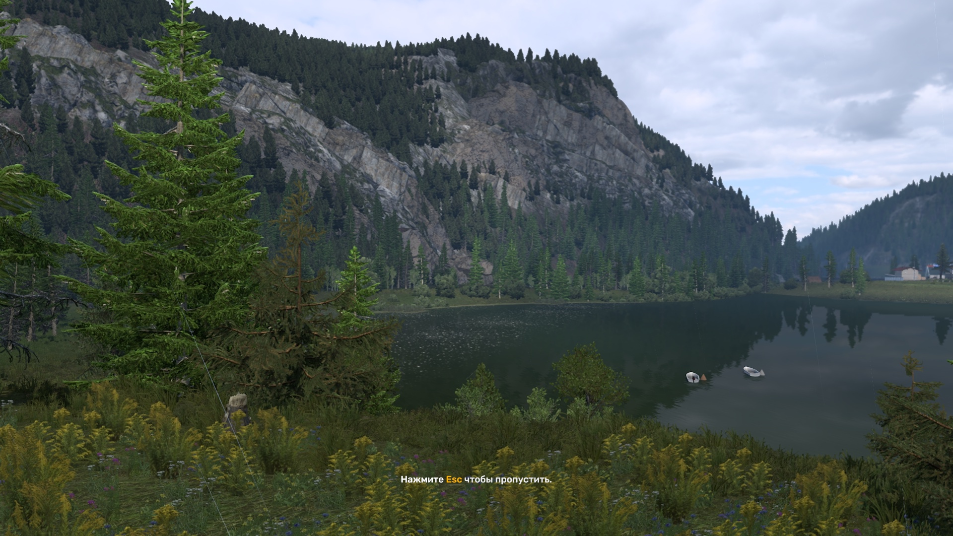 Image by Wastelander