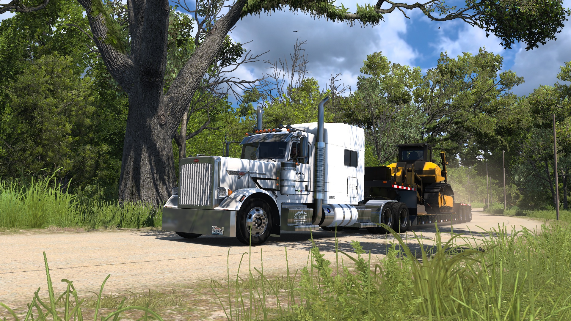 Image by David_Kamaz