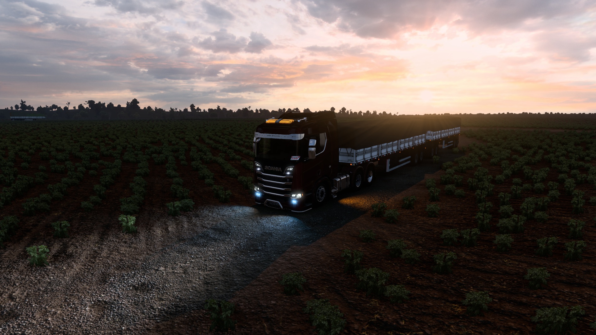 Image by Lucassousaps