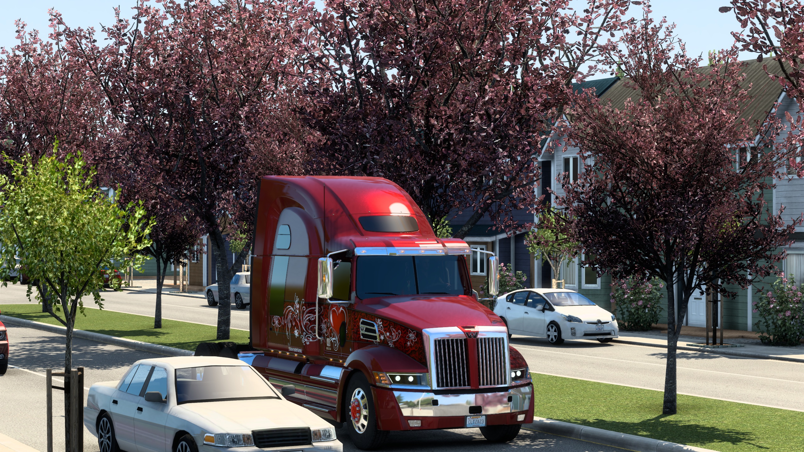 Image by Cleiton_Silva