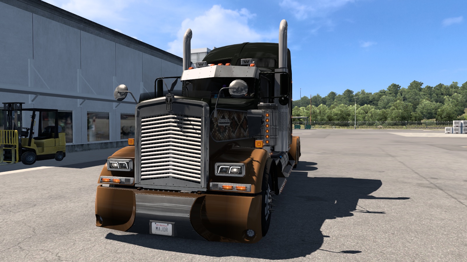 Image by dmitriy_750