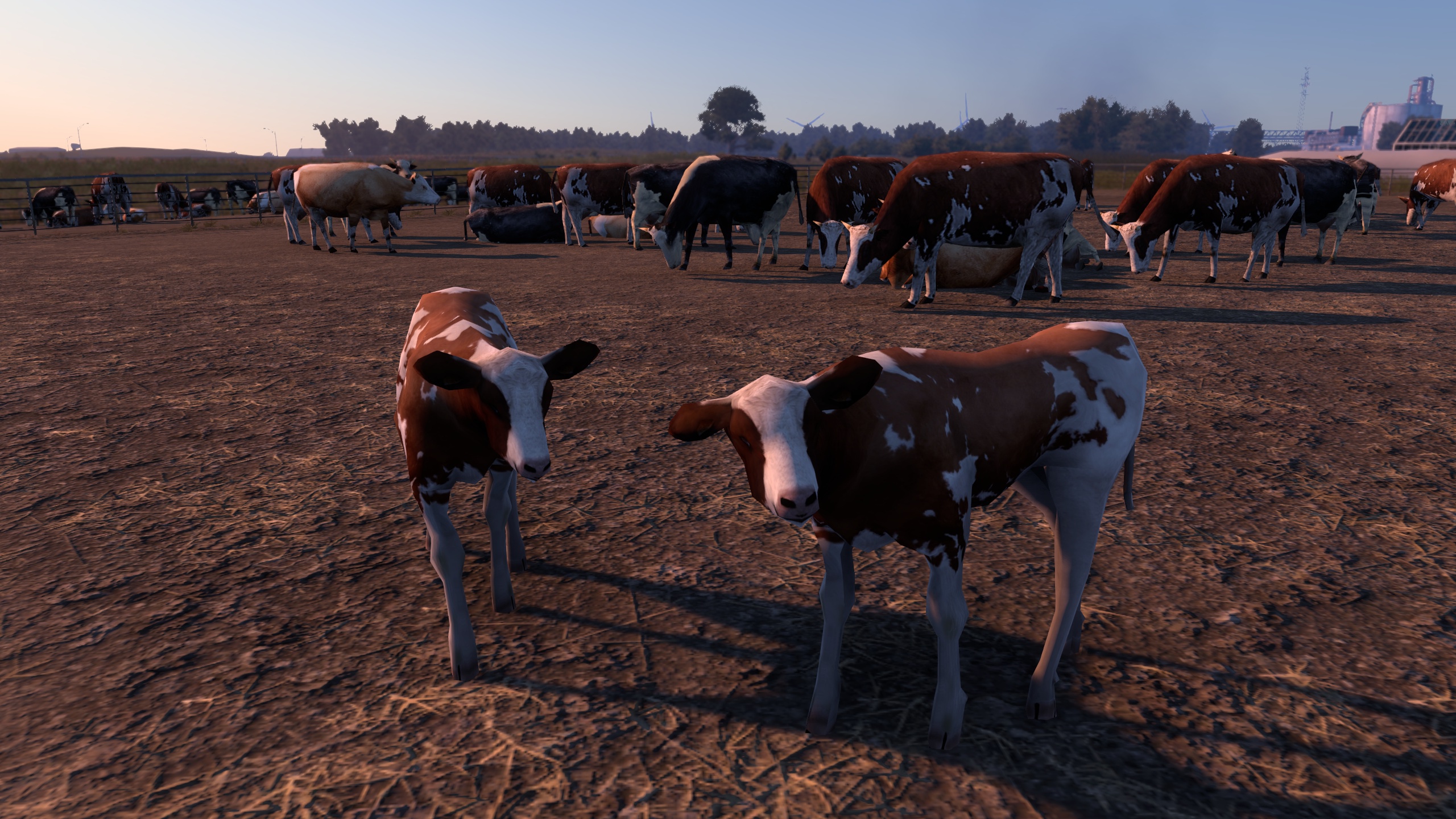 Image by Zesty_Udders